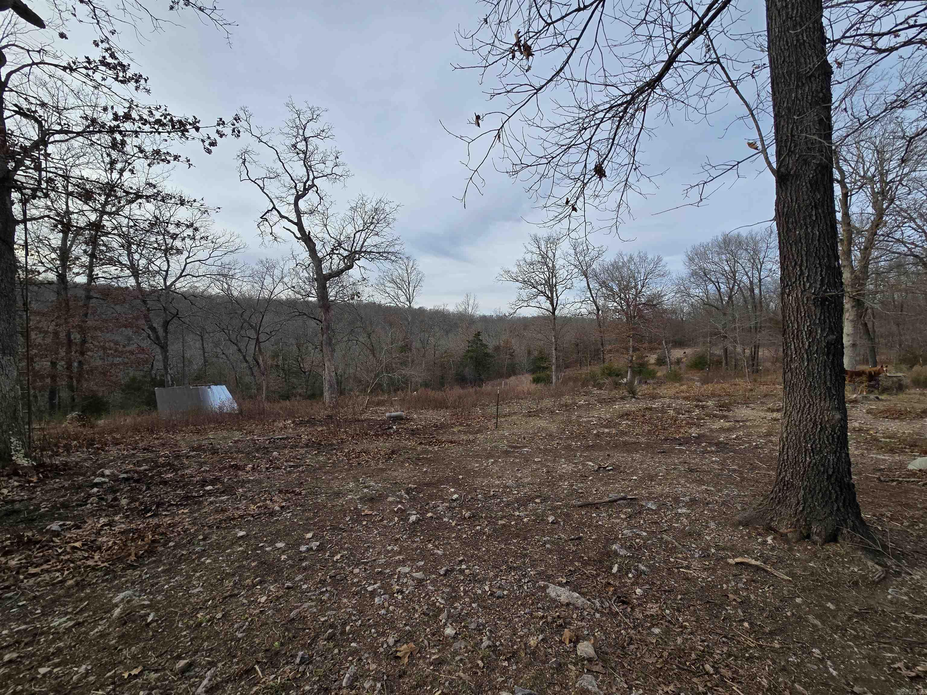 367 Bent Oak Ln Property Photo 26