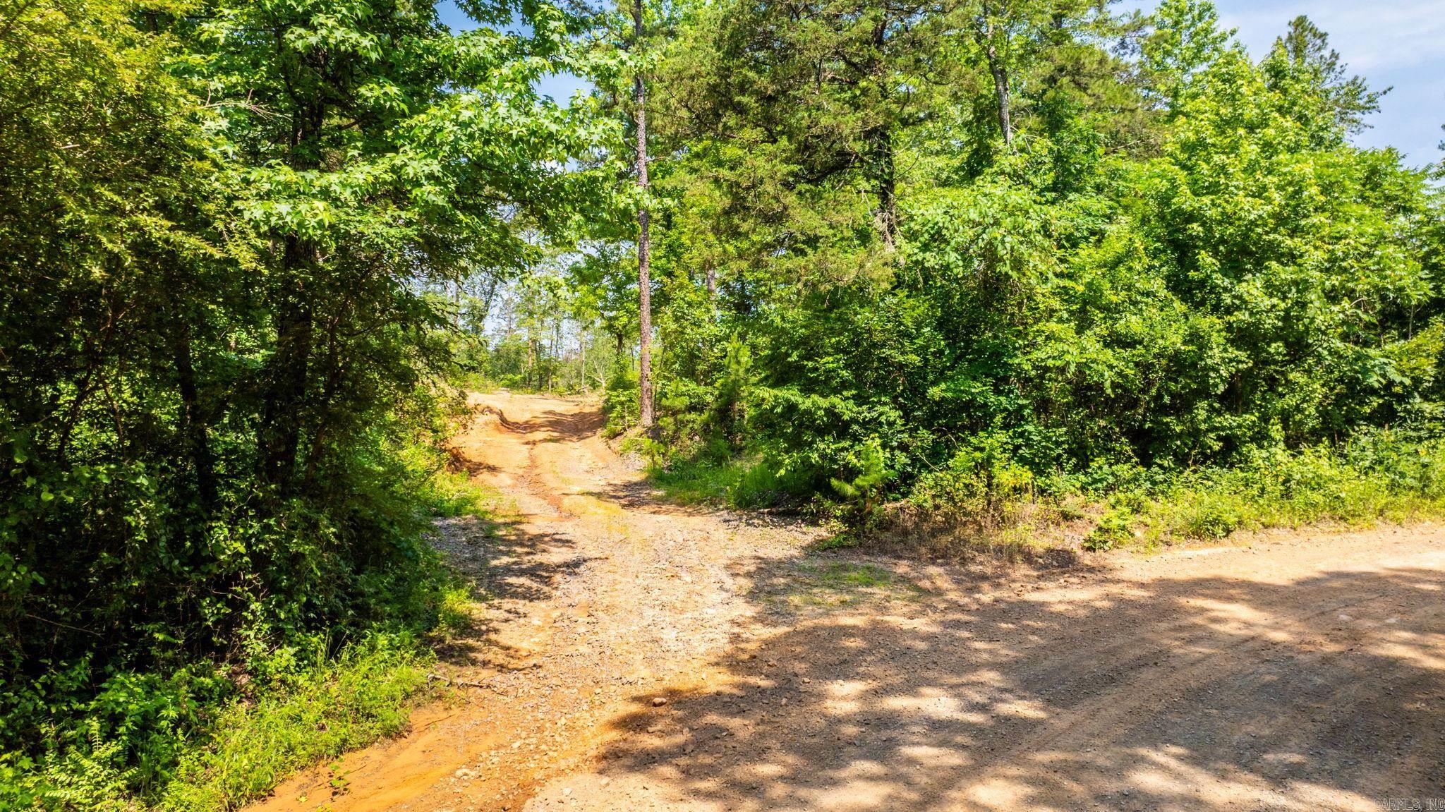 Tract 11 Harmony Mountain Road Property Photo 7