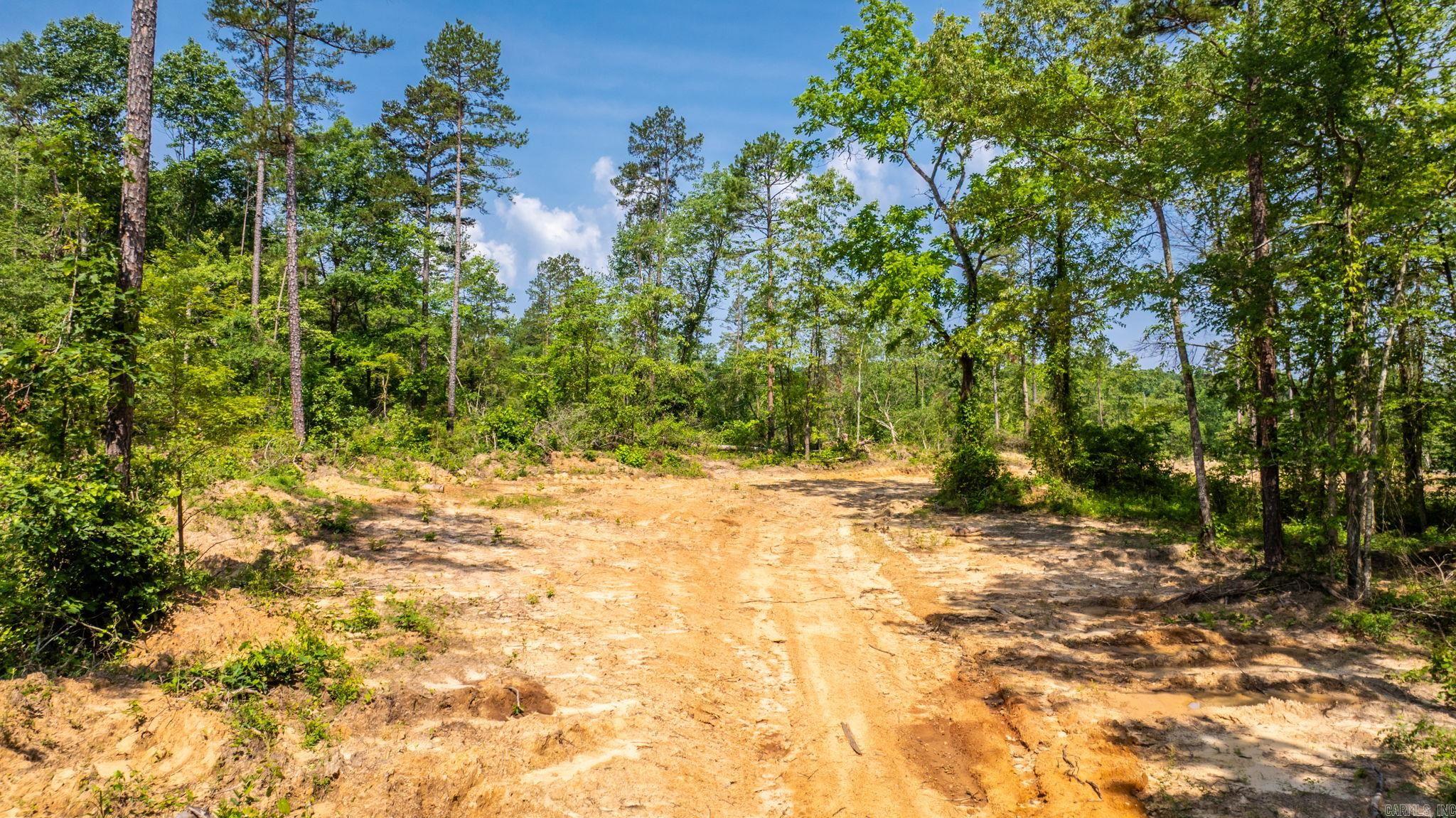 Tract 11 Harmony Mountain Road Property Photo 9