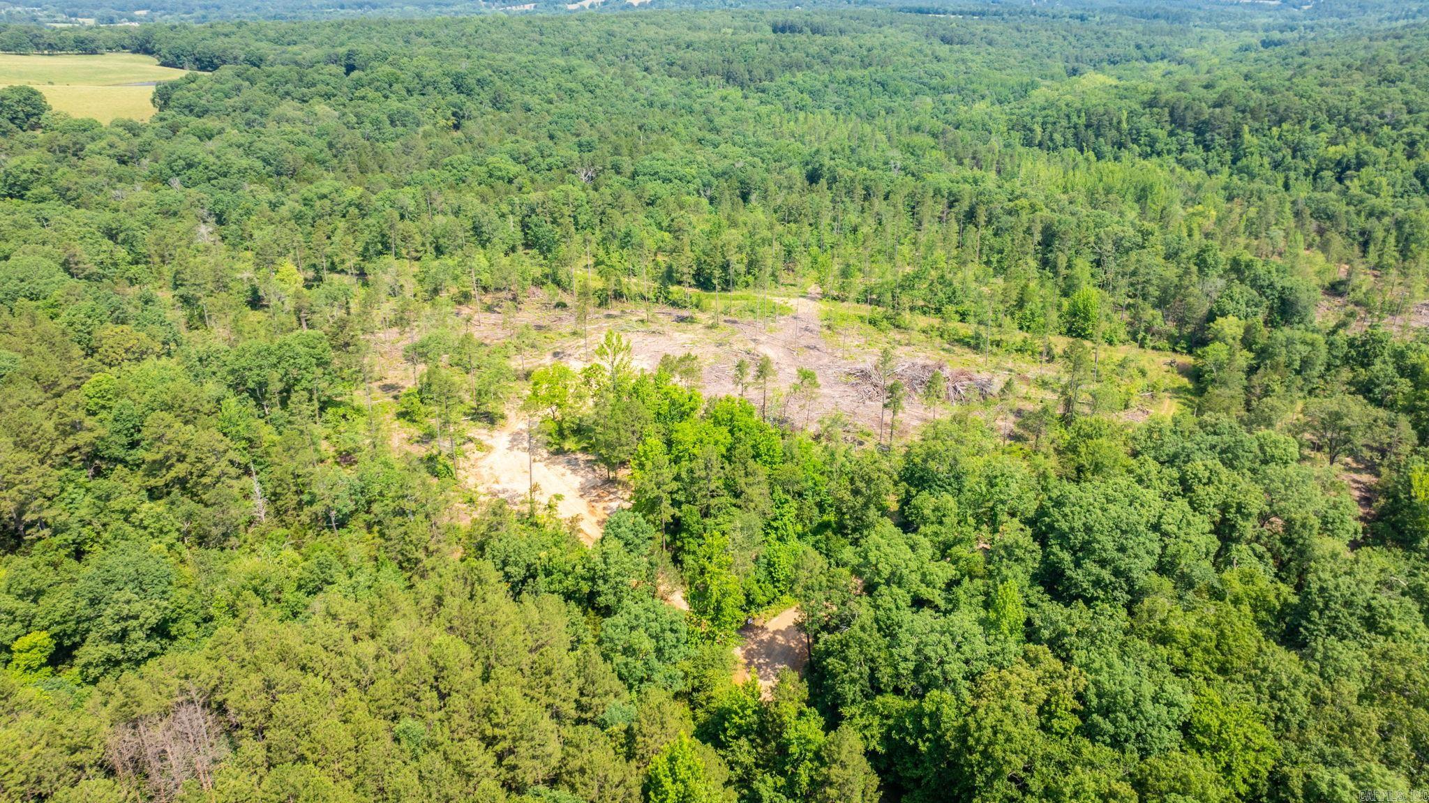 Tract 11 Harmony Mountain Road Property Photo 12