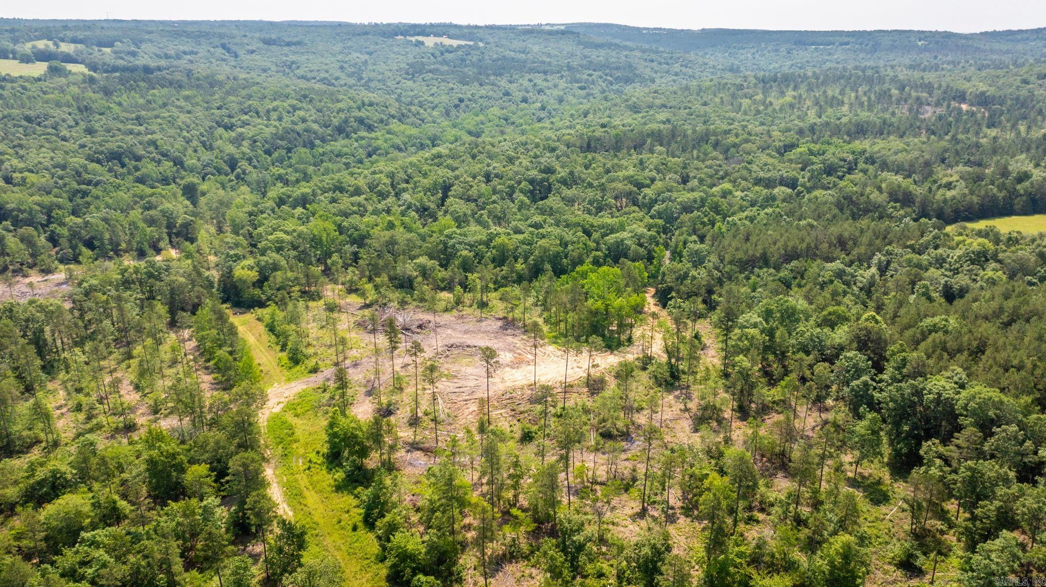 Tract 11 Harmony Mountain Road Property Photo 18
