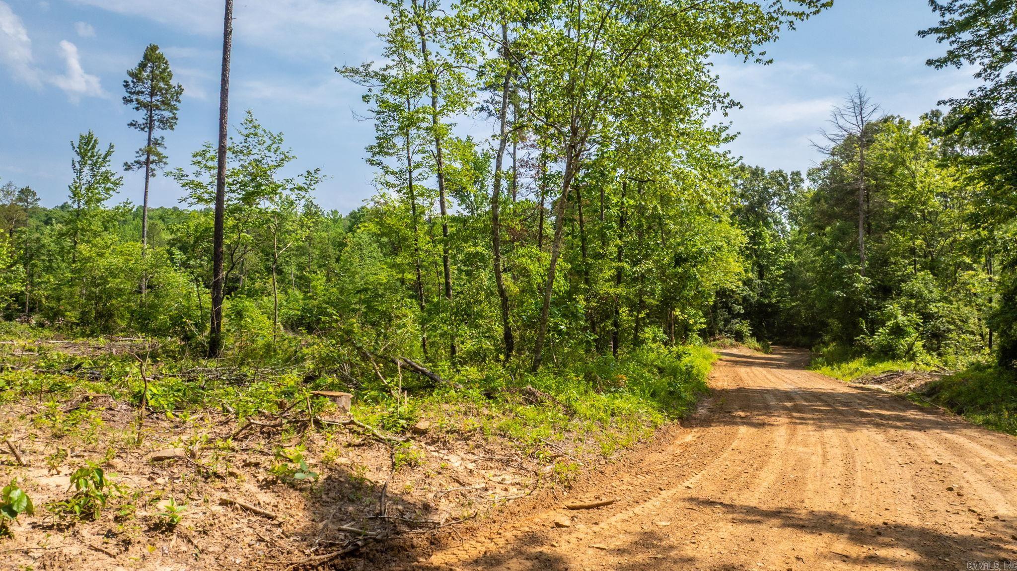 Tract 11 Harmony Mountain Road Property Photo 20