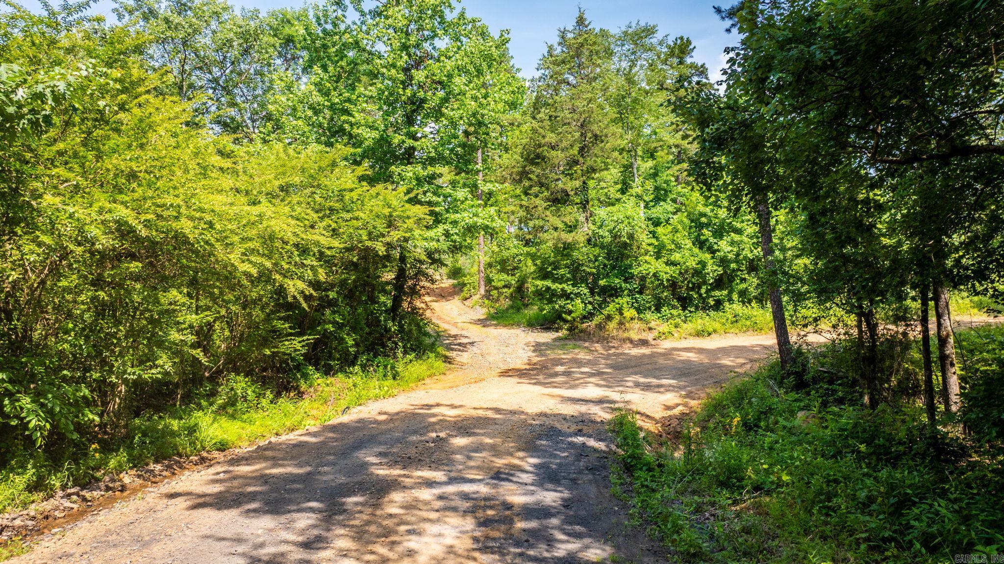Tract 11 Harmony Mountain Road Property Photo 35