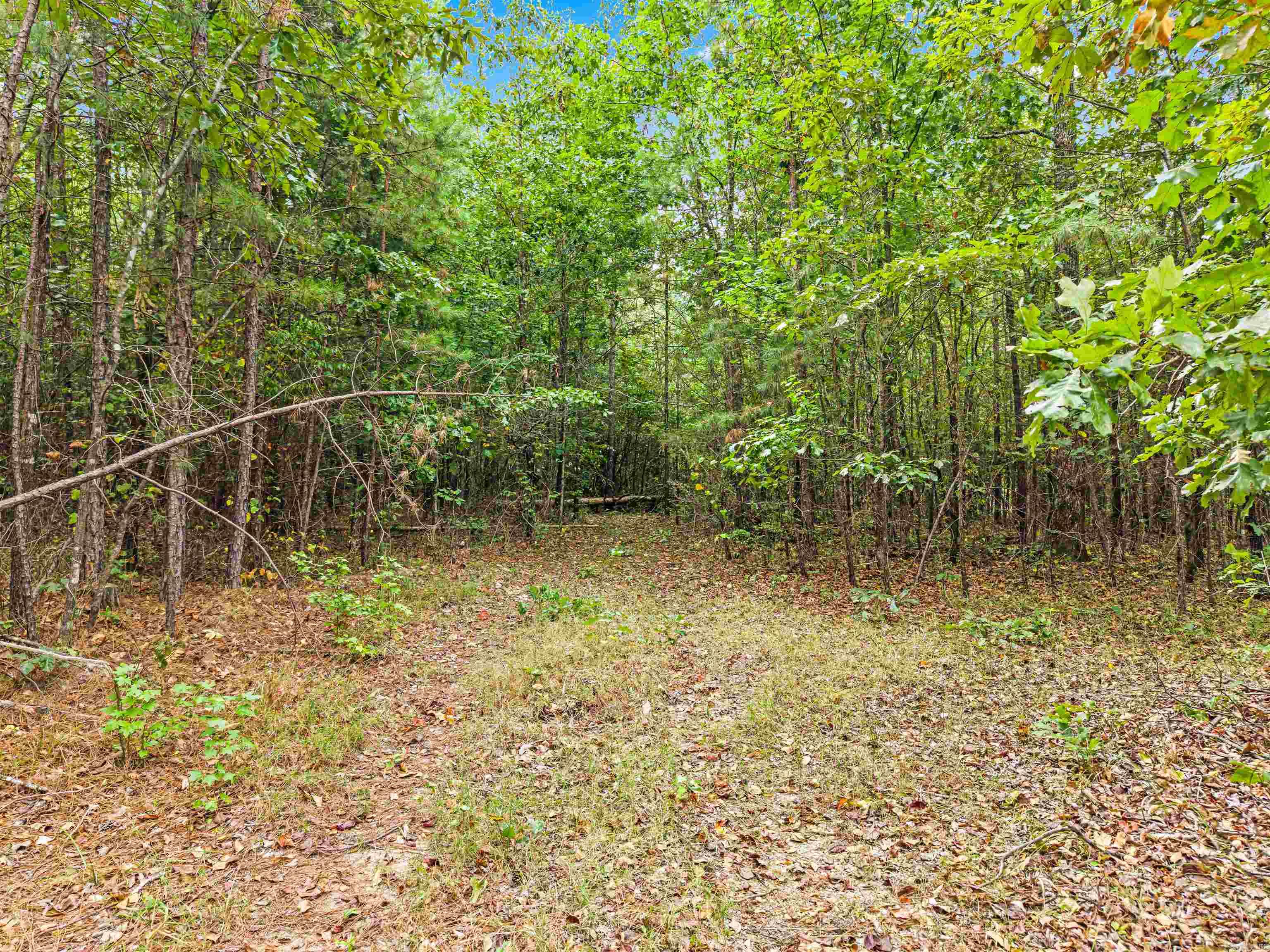 773 Little Blakely Creek Road Property Photo 42