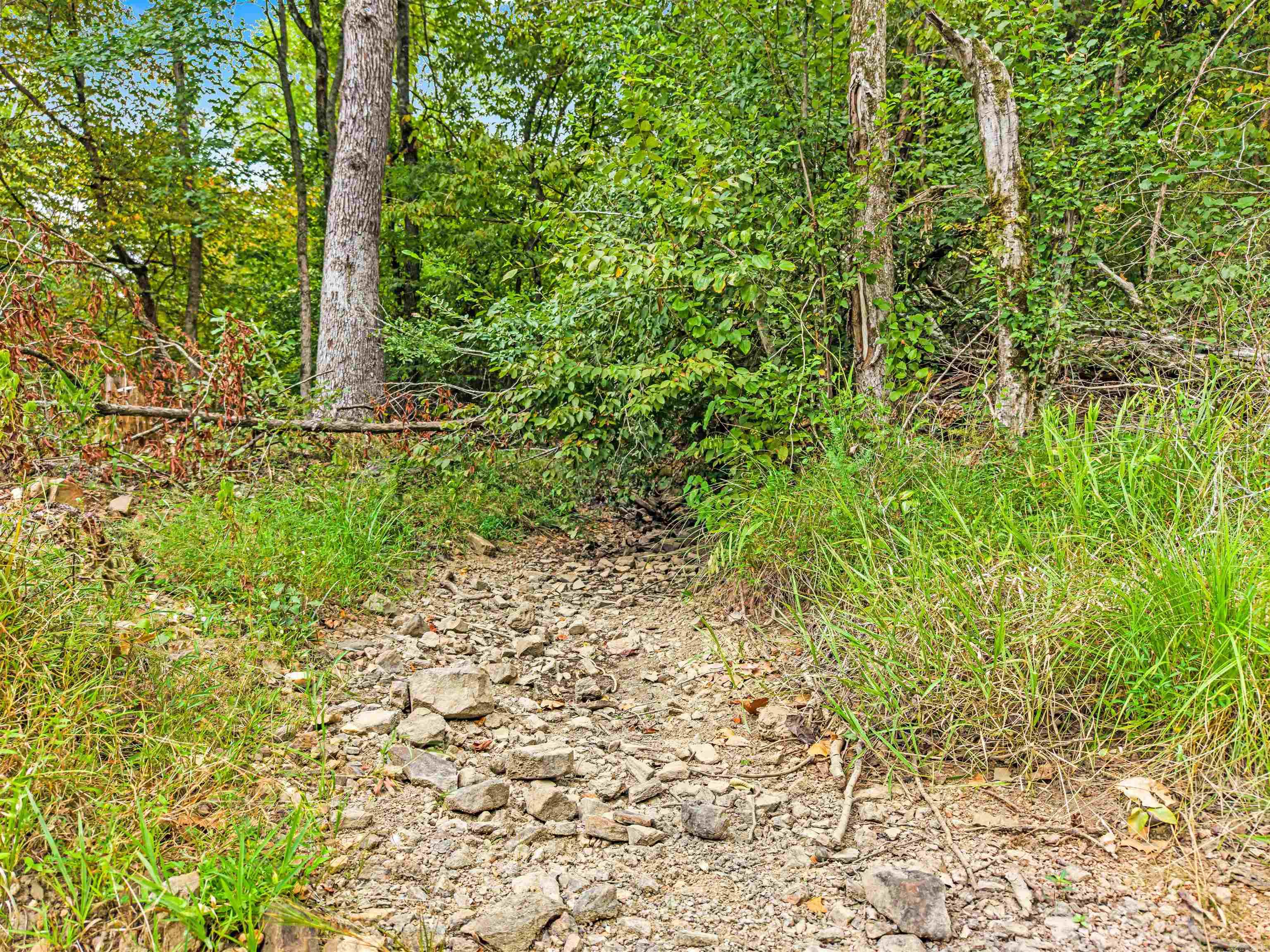 773 Little Blakely Creek Road Property Photo 43