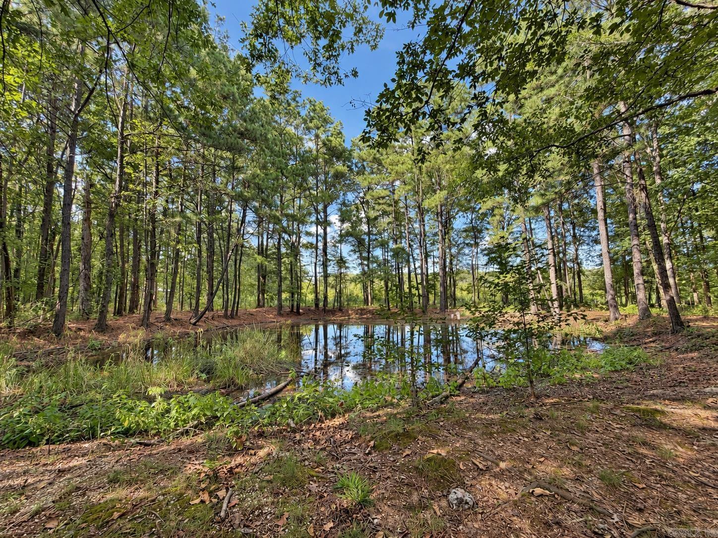 8408 Griggs Rd. Property Photo 7