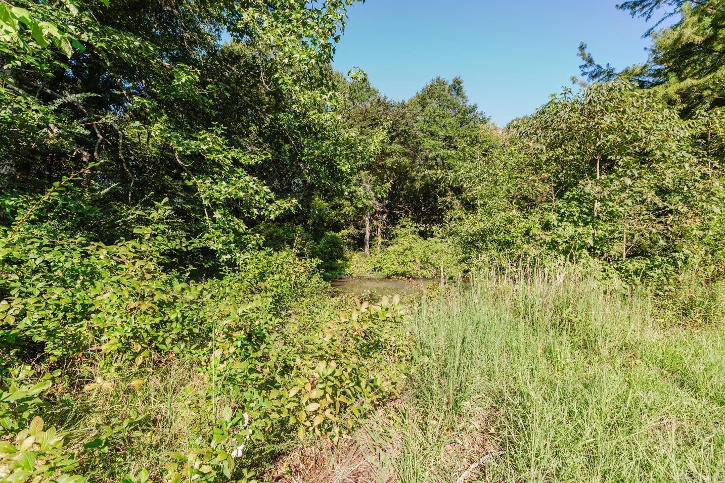504 Howel Road Property Photo 31