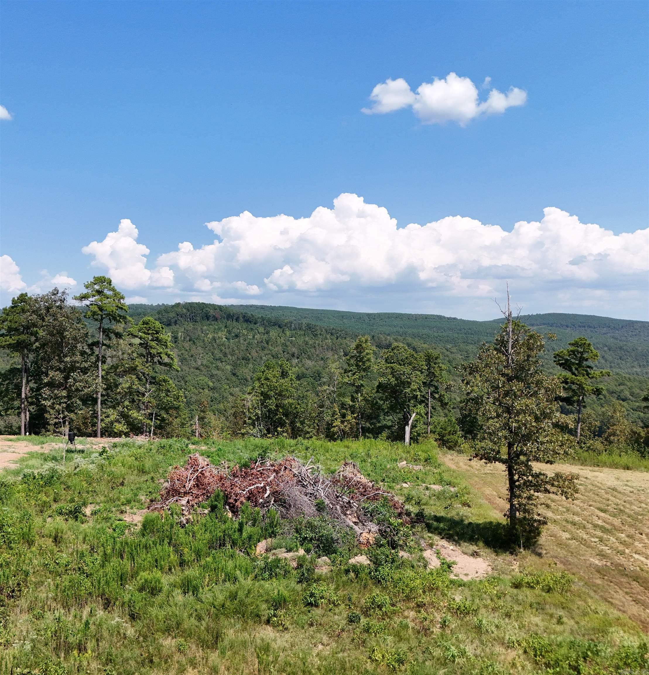 Lot 12 The Bluffs Property Photo 1