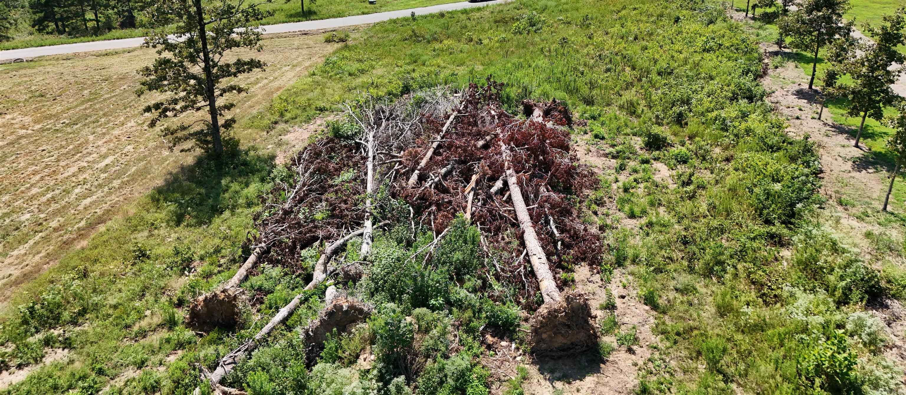 Lot 12 The Bluffs Property Photo 6