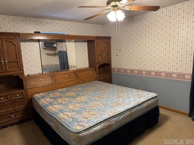 305 E Maple Streett Property Photo 17
