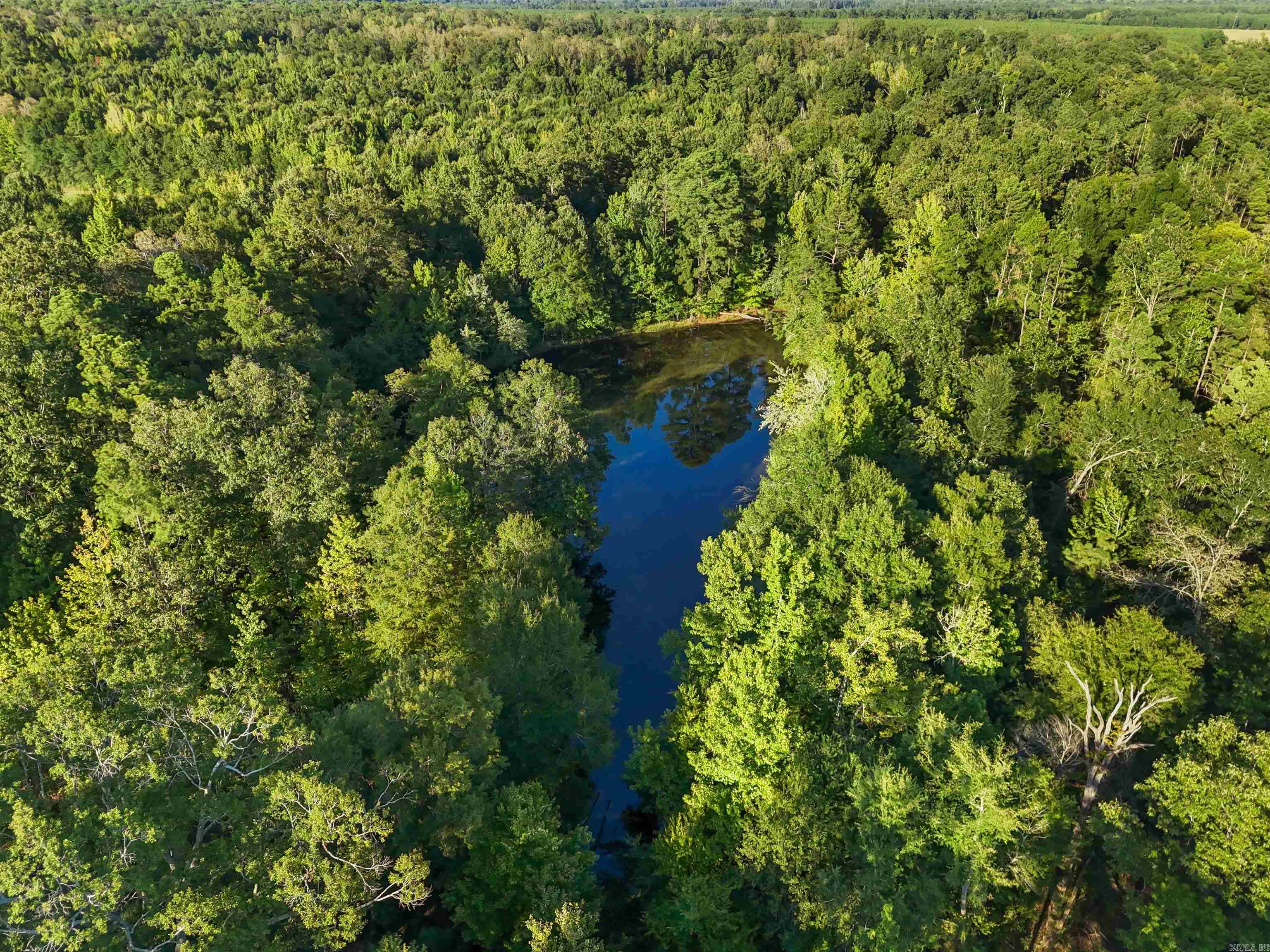 00 Highway 63 And Britt Road Property Photo 1
