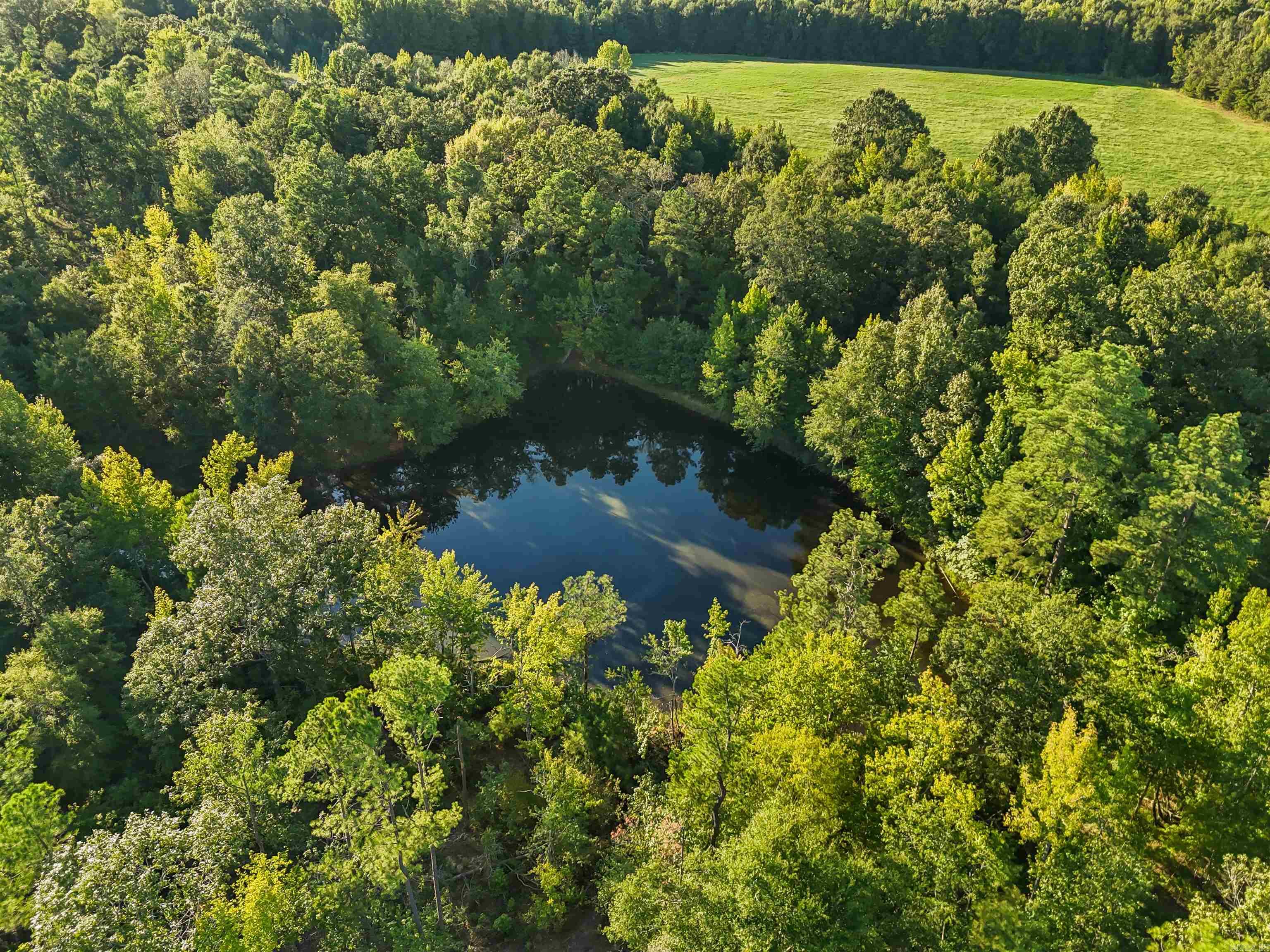 00 Highway 63 And Britt Road Property Photo 2