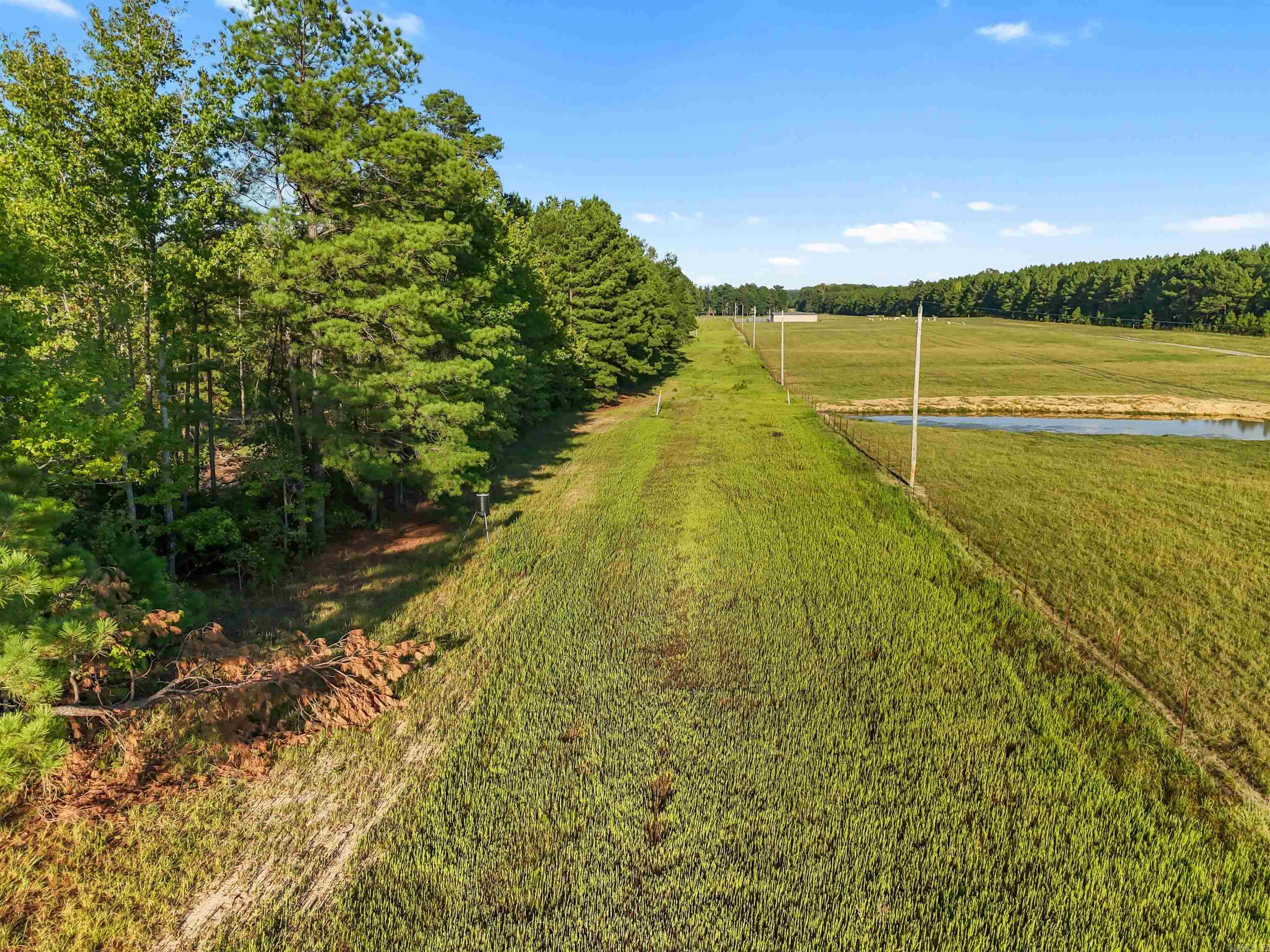 00 Highway 63 And Britt Road Property Photo 4