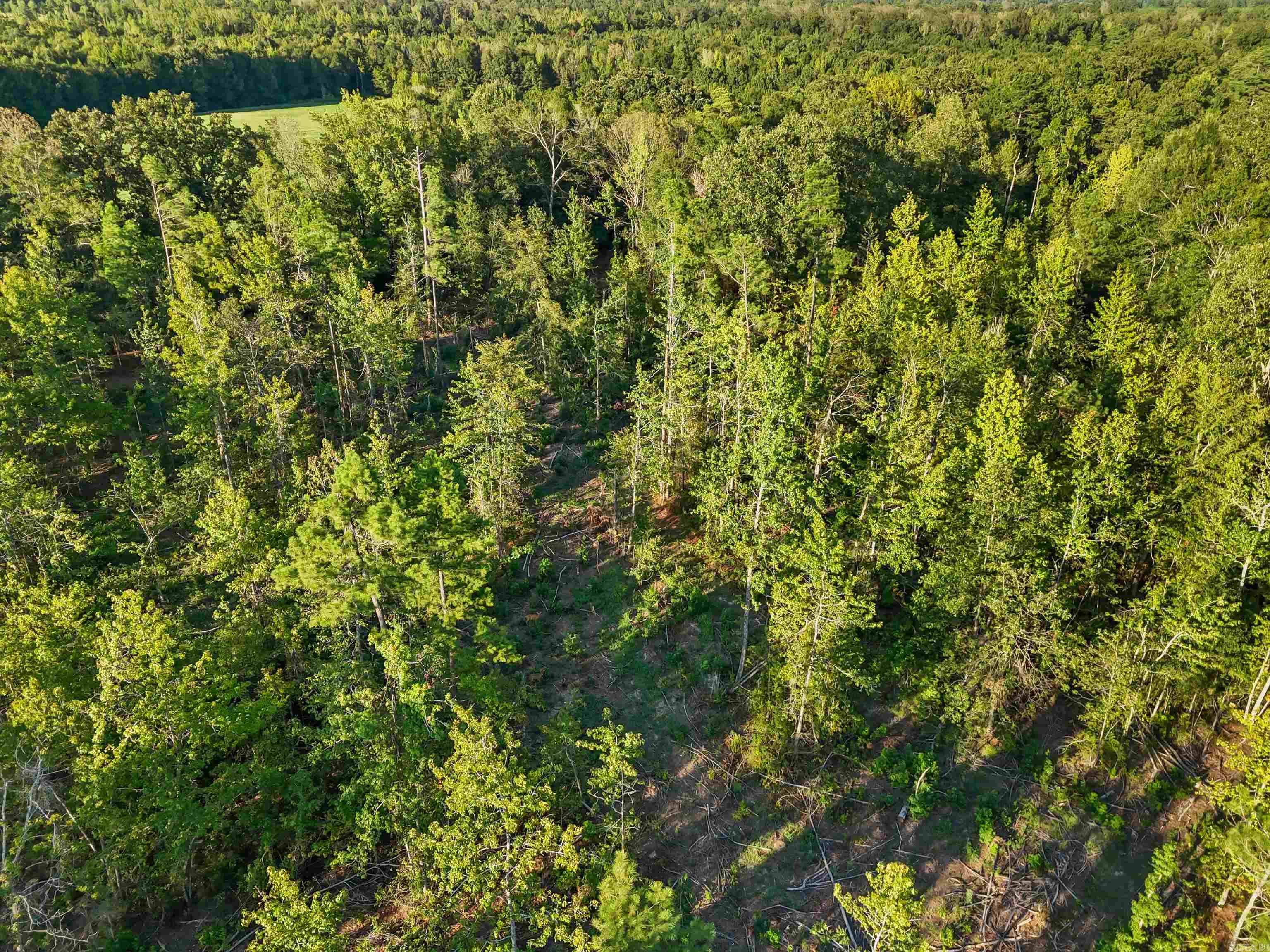 00 Highway 63 And Britt Road Property Photo 5