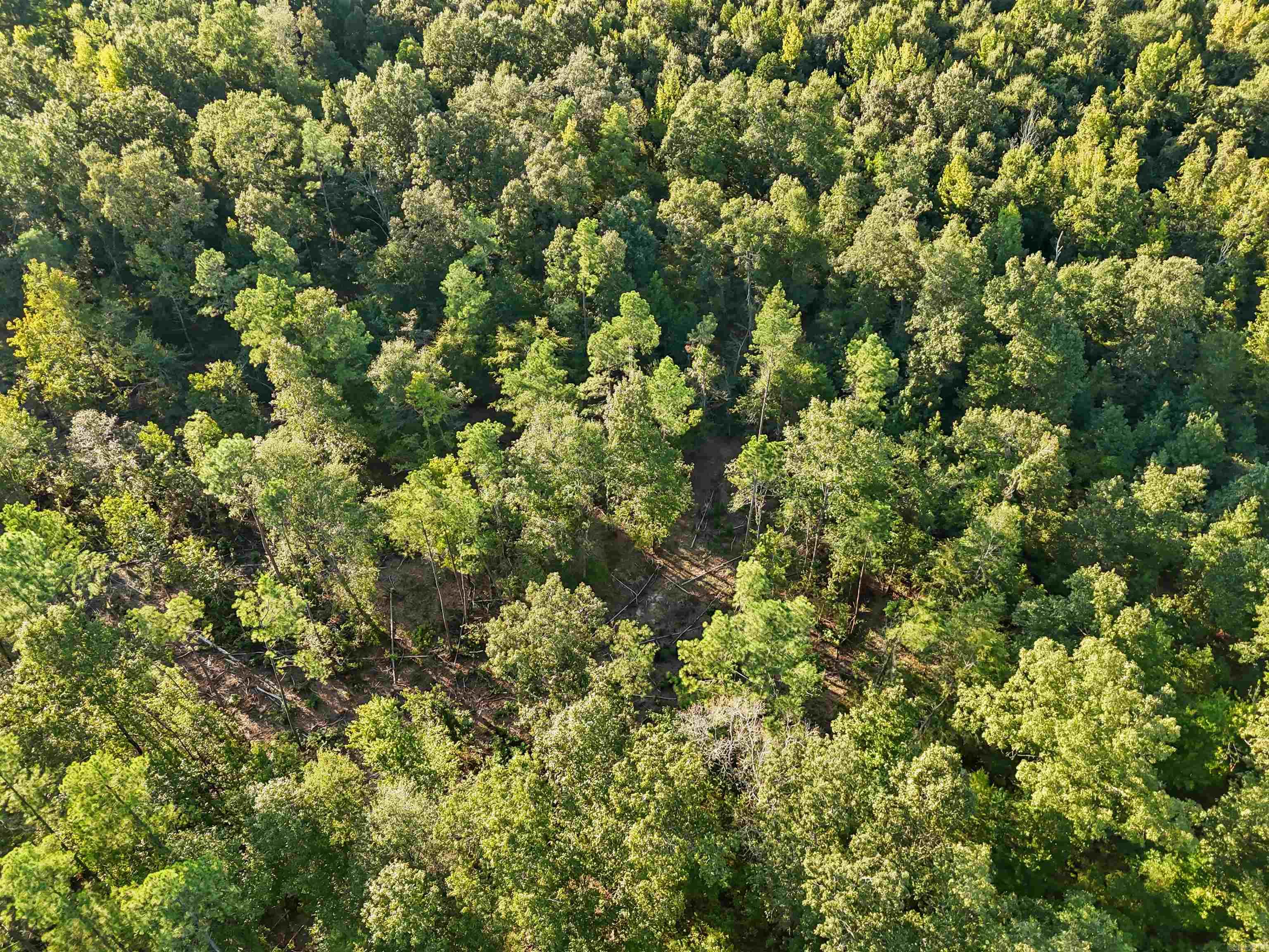 00 Highway 63 And Britt Road Property Photo 6