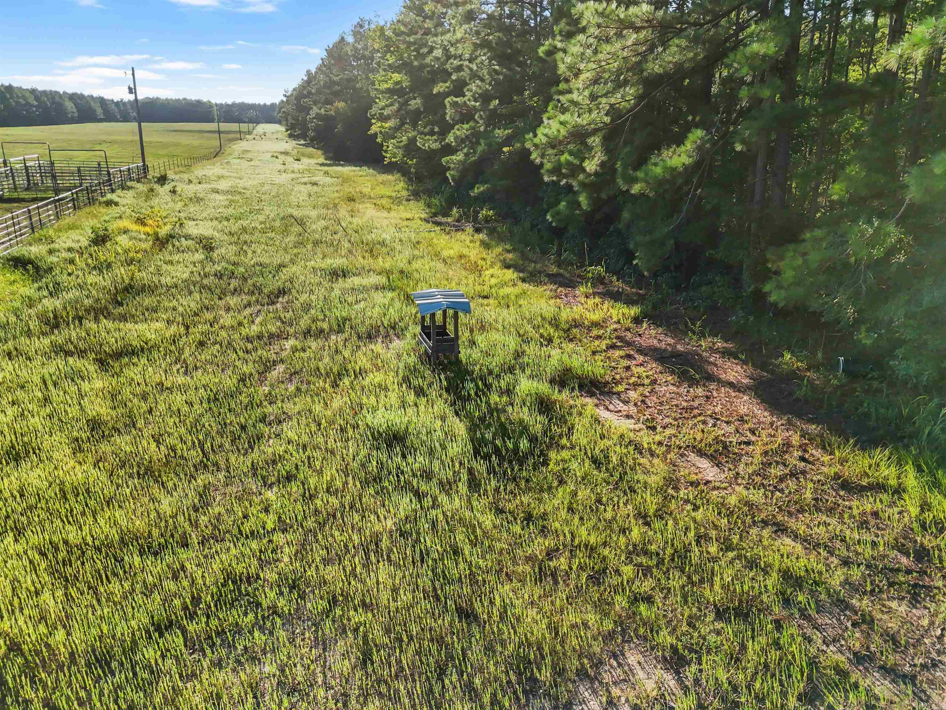 00 Highway 63 And Britt Road Property Photo 8