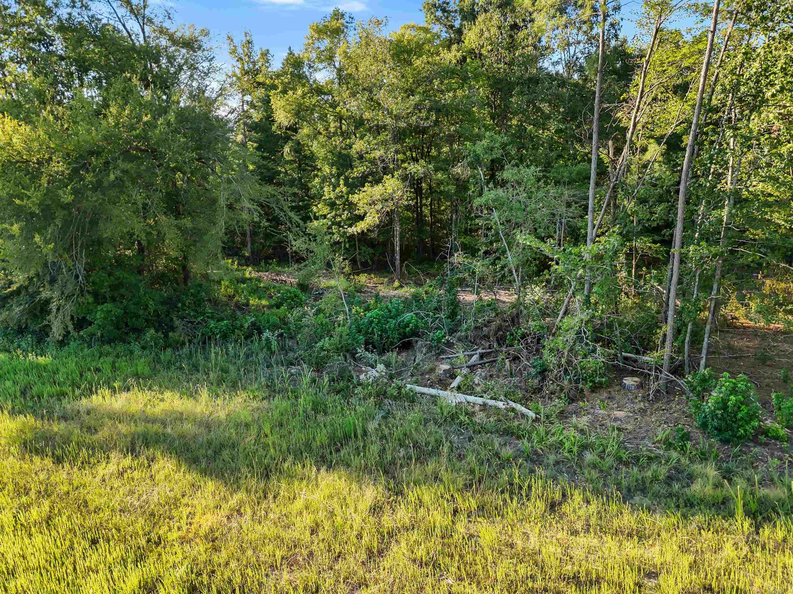 00 Highway 63 And Britt Road Property Photo 9