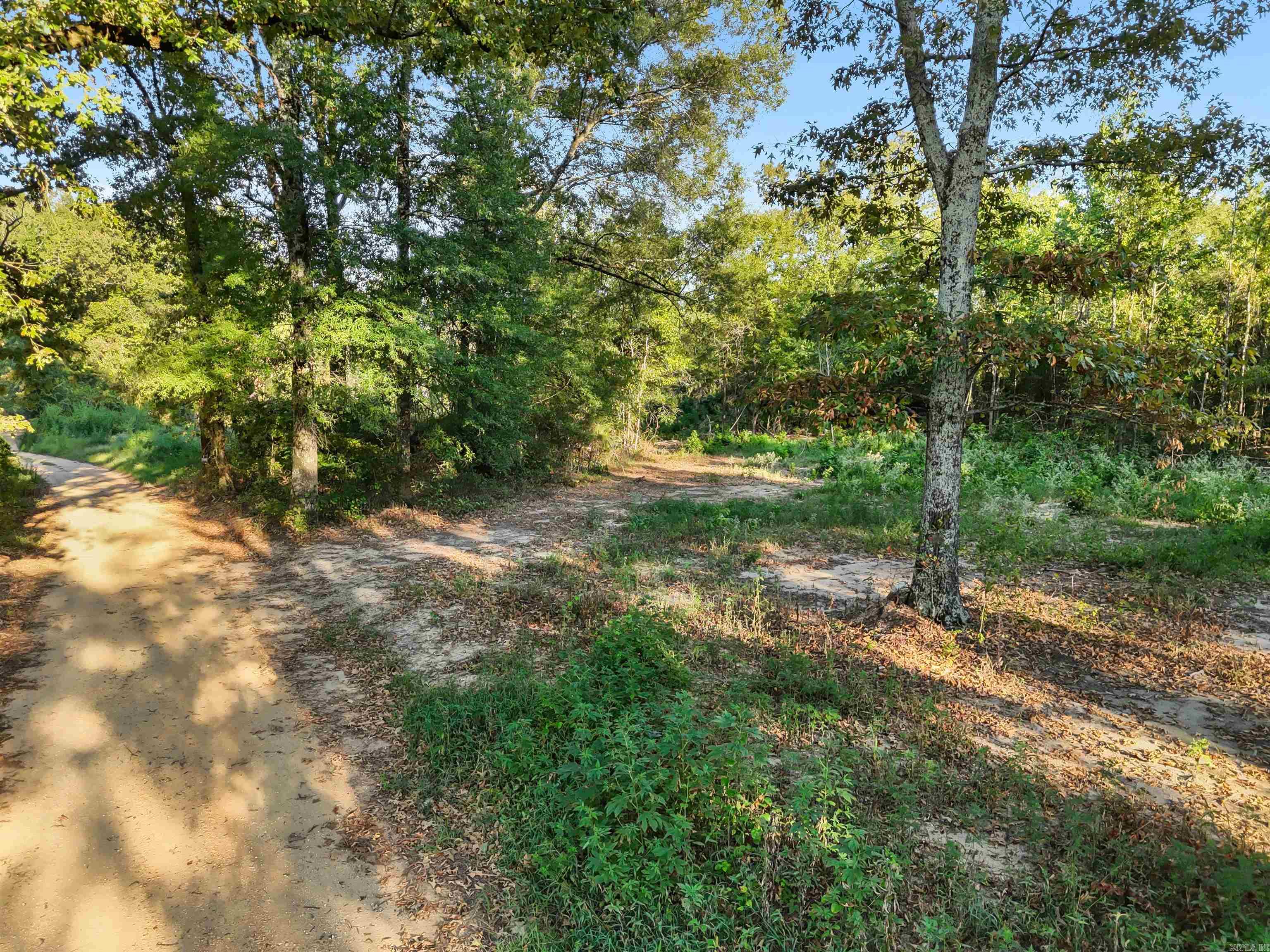 00 Highway 63 And Britt Road Property Photo 13