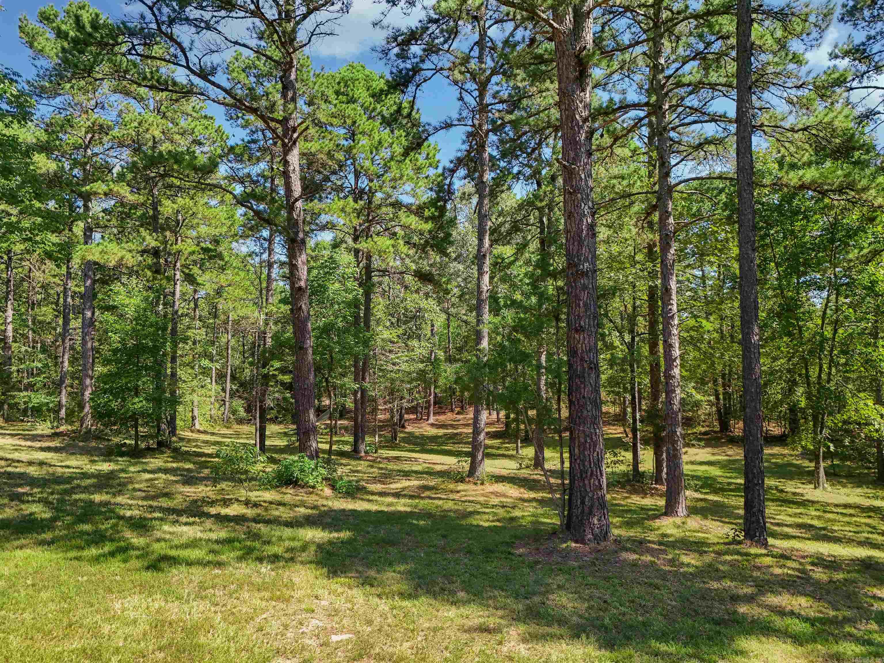 444 N Stacy Springs Road Property Photo 11