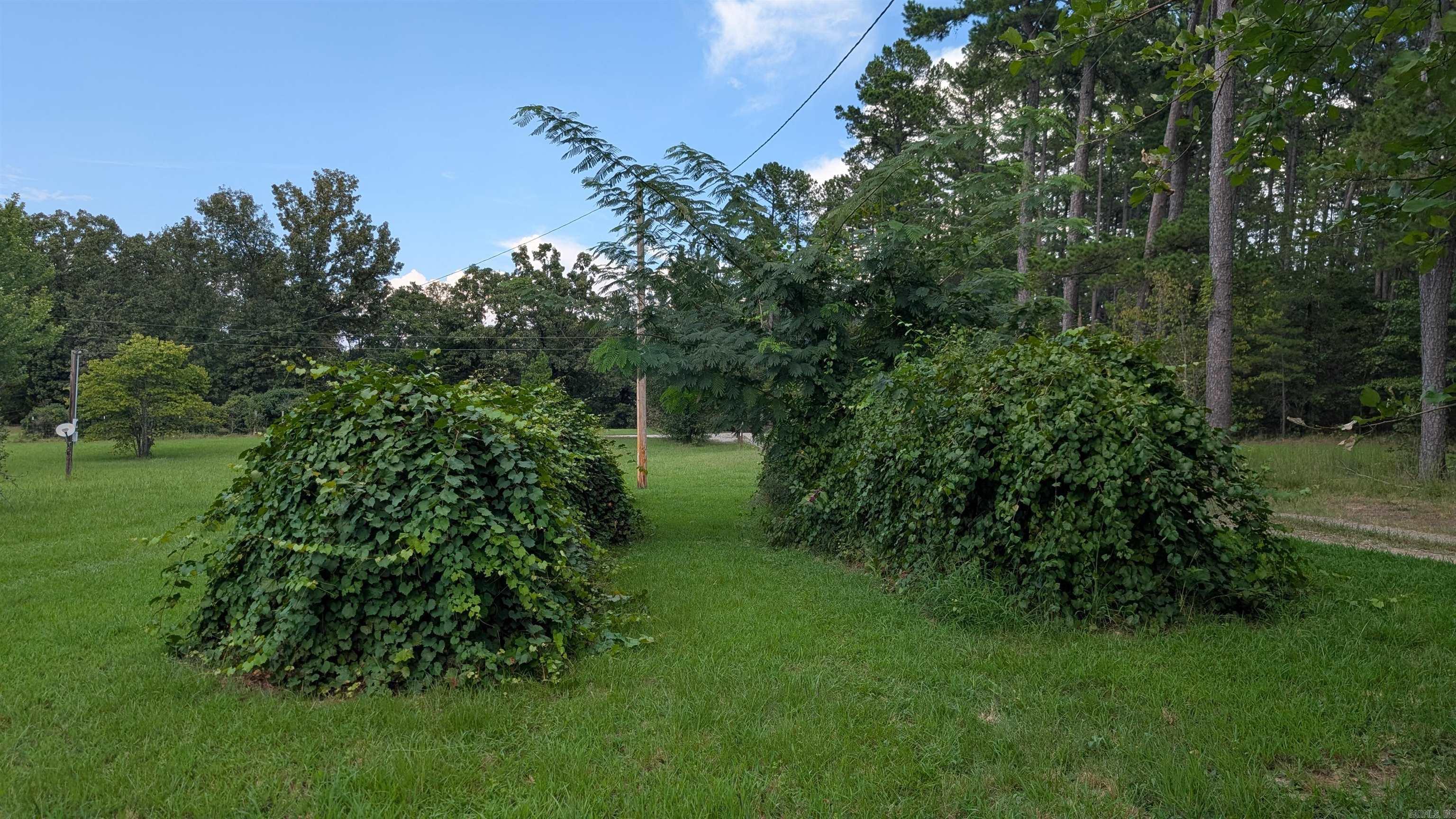81 Laramie Property Photo 22