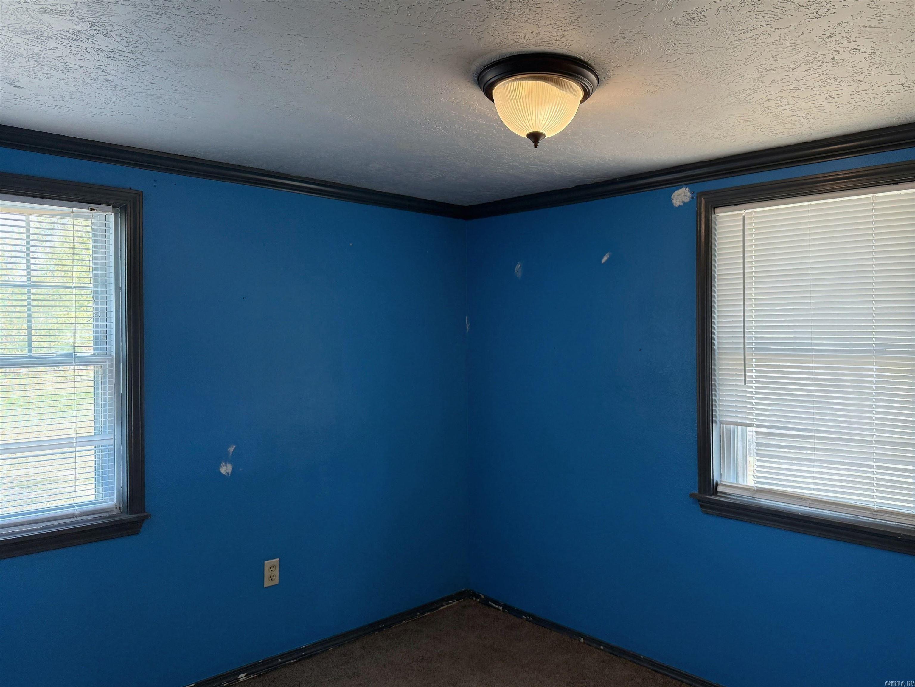 721 Cabin Creek Avenue Property Photo 8