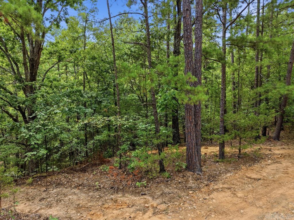 29 Jerry Lane Property Photo 1