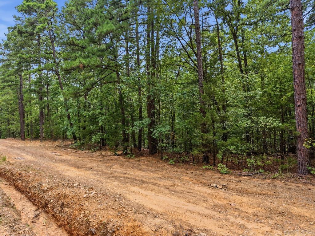 29 Jerry Lane Property Photo 5