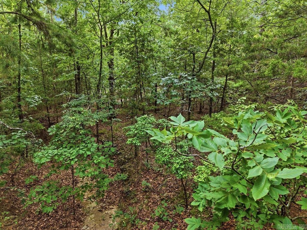 29 Jerry Lane Property Photo 6