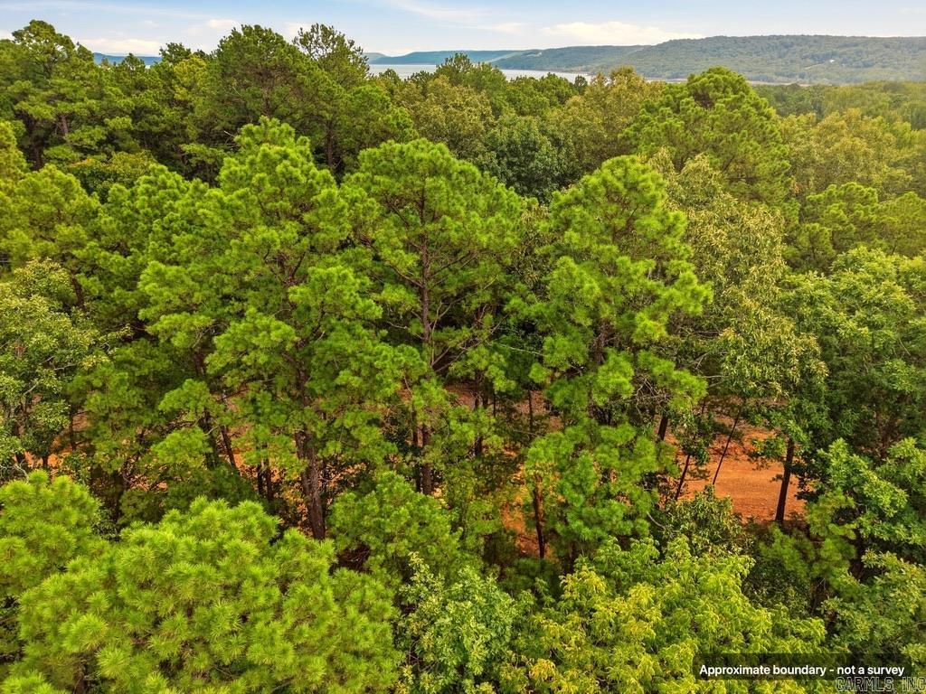 29 Jerry Lane Property Photo 7