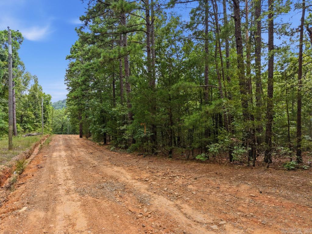 29 Jerry Lane Property Photo 10