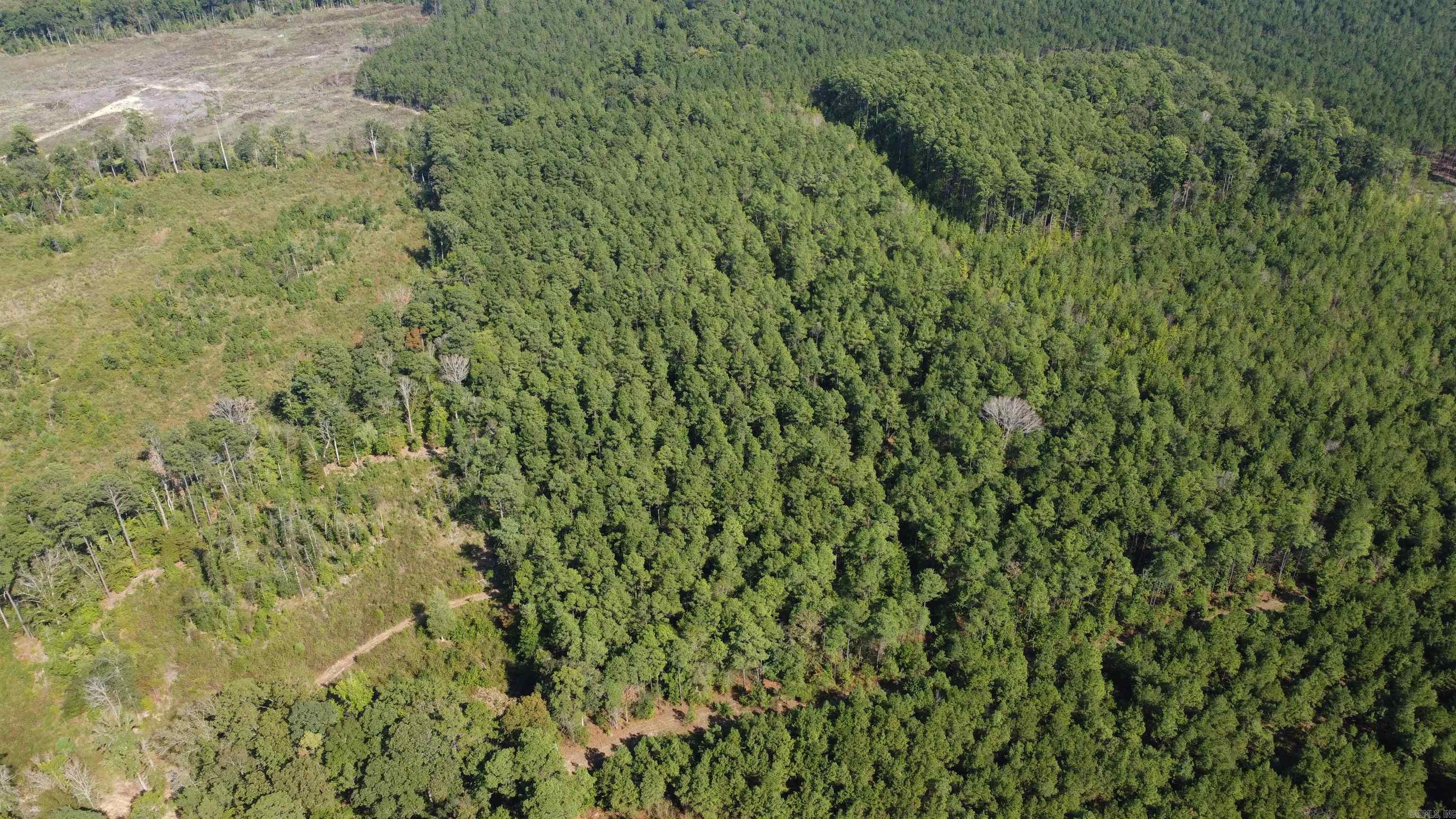 000 County Road 458 Road Property Photo 1