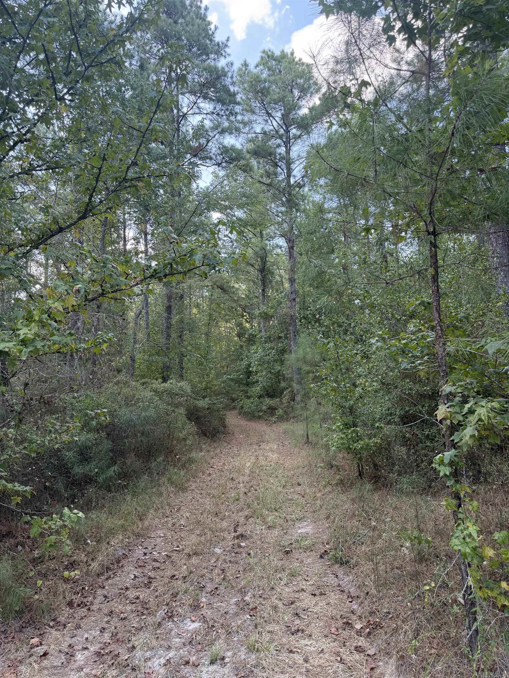 000 County Road 458 Road Property Photo 8