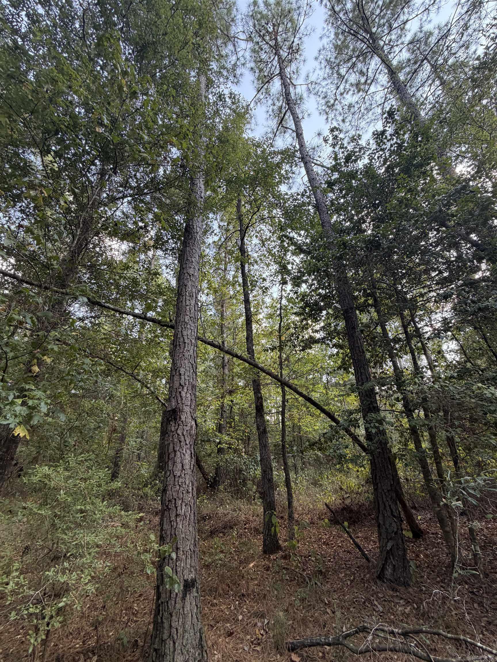 000 County Road 458 Road Property Photo 10