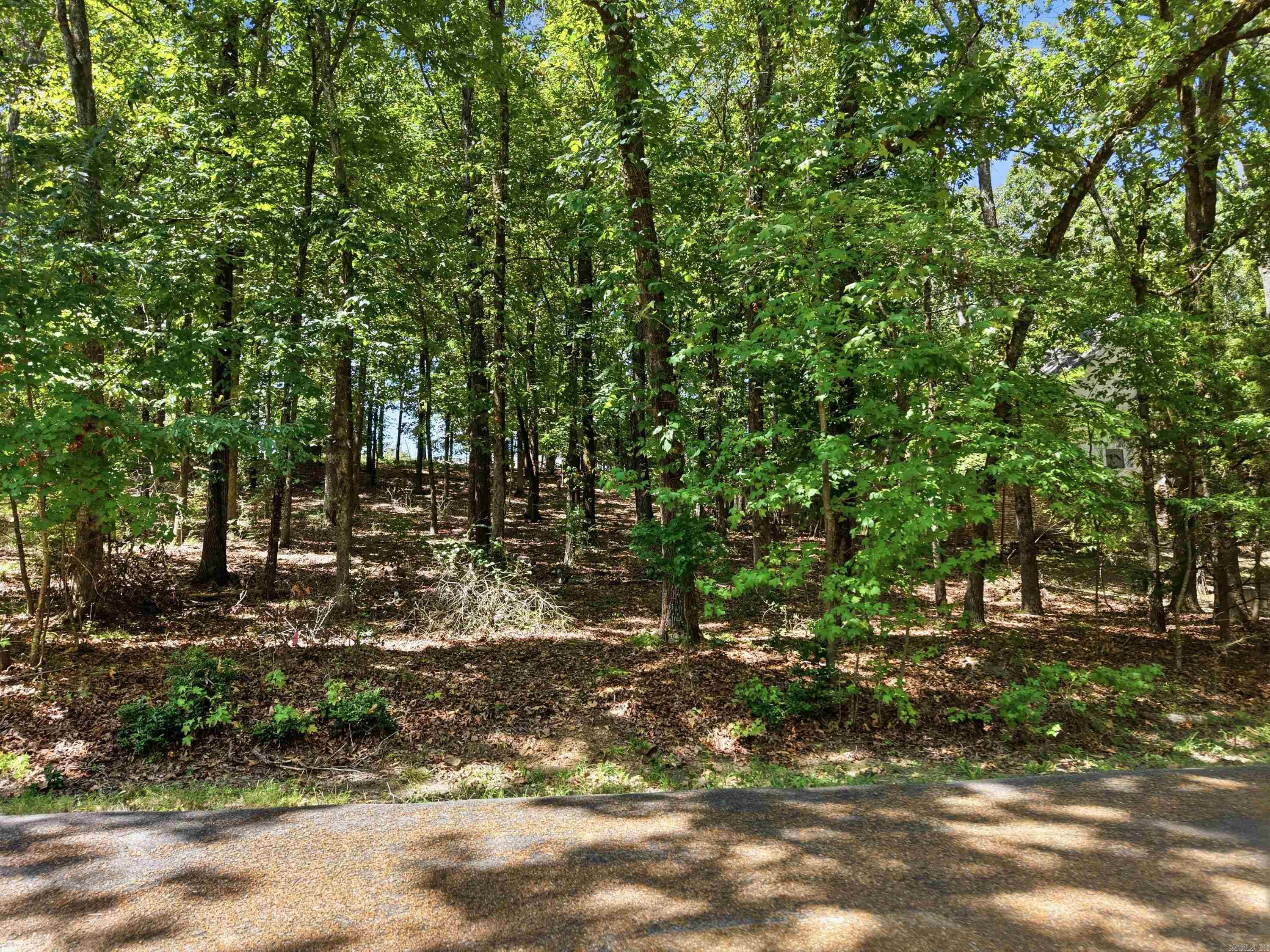 835 Sugar Maple Drive Property Photo 15
