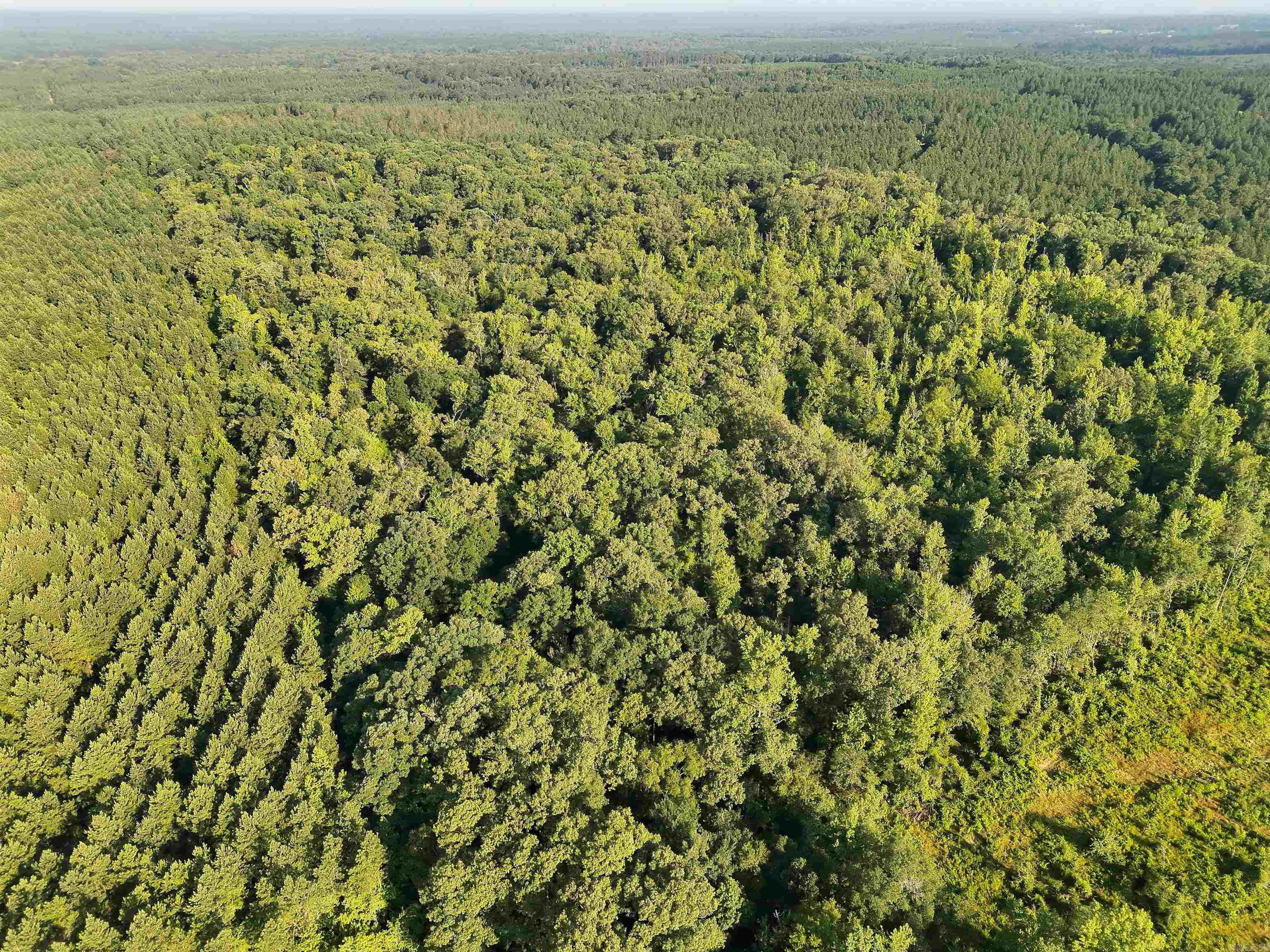 Tbd Cornbridge Rd Lot#wp001 Property Photo 1