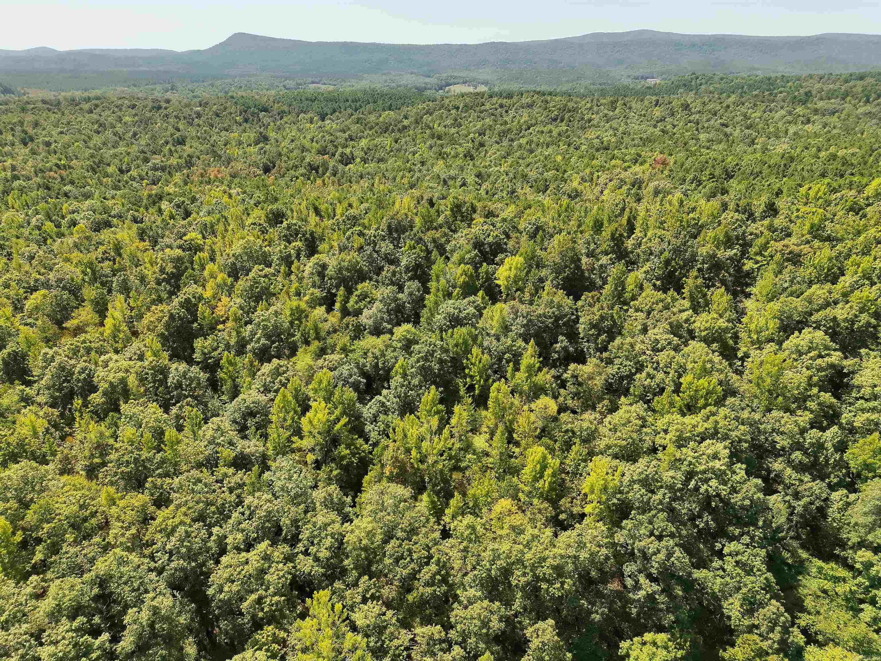 Tbd Pole Thicket Road Lot#wp00 Property Photo 2