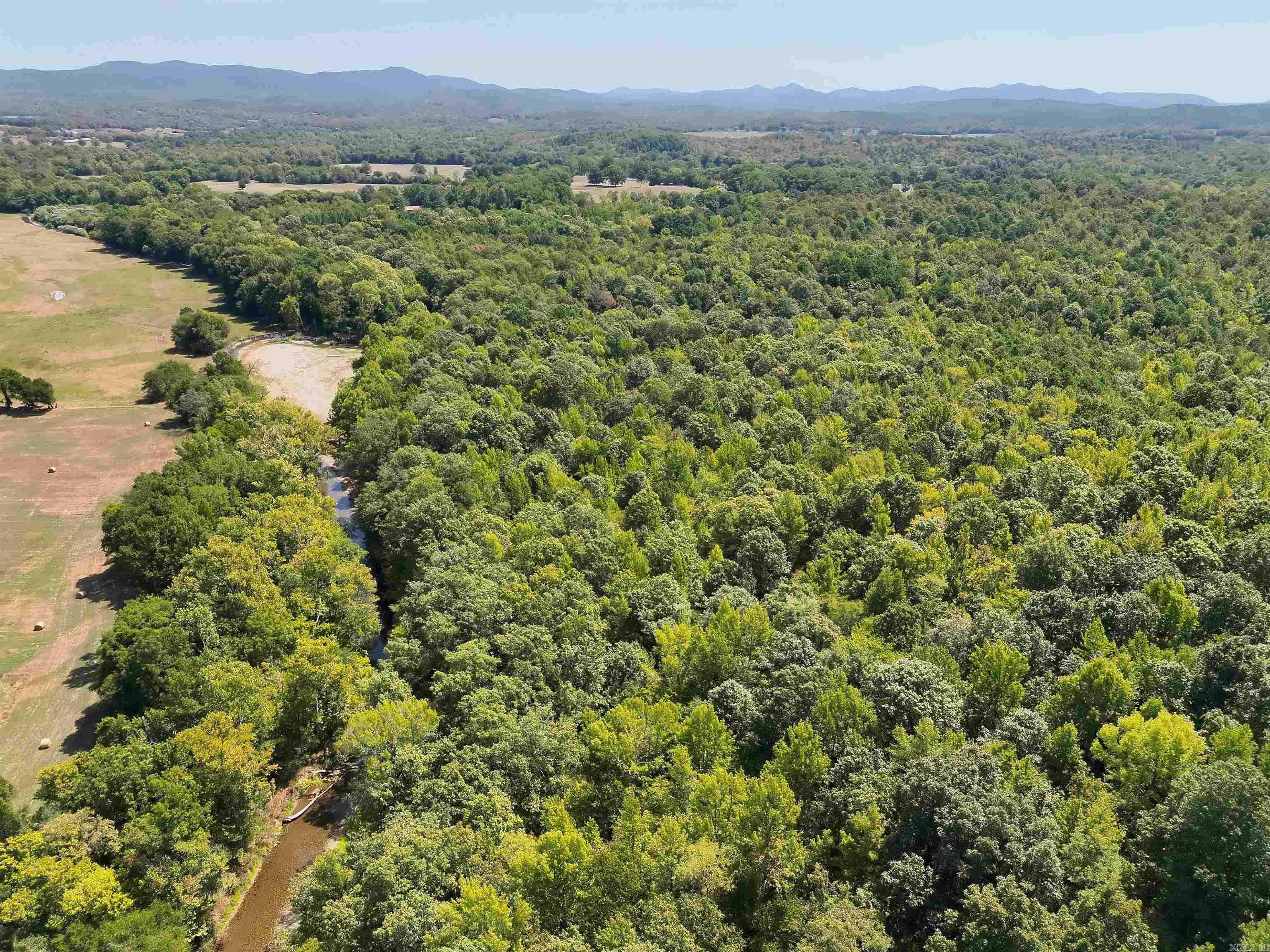 Tbd Pole Thicket Road Lot#wp00 Property Photo 3