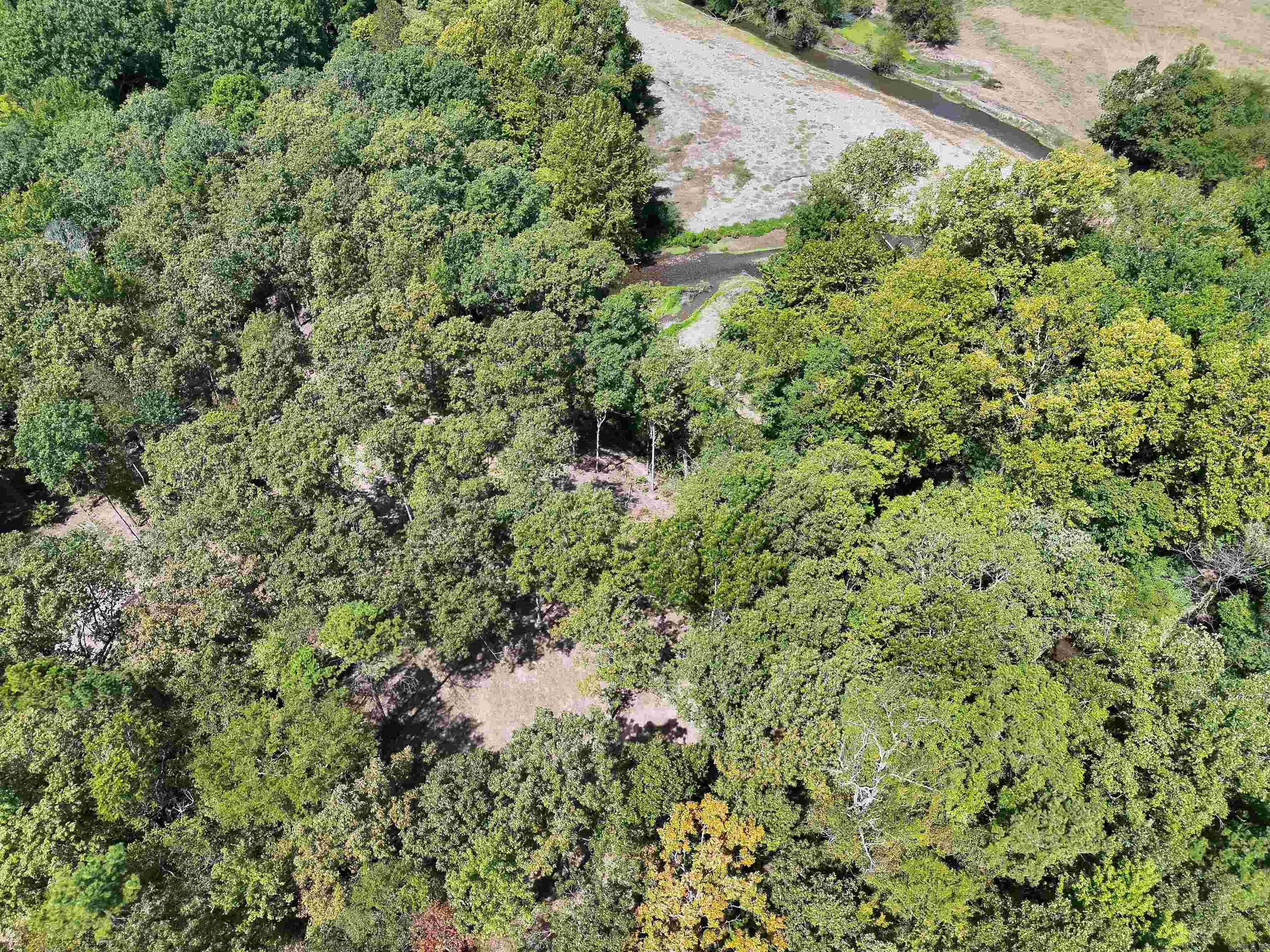 Tbd Pole Thicket Road Lot#wp00 Property Photo 4