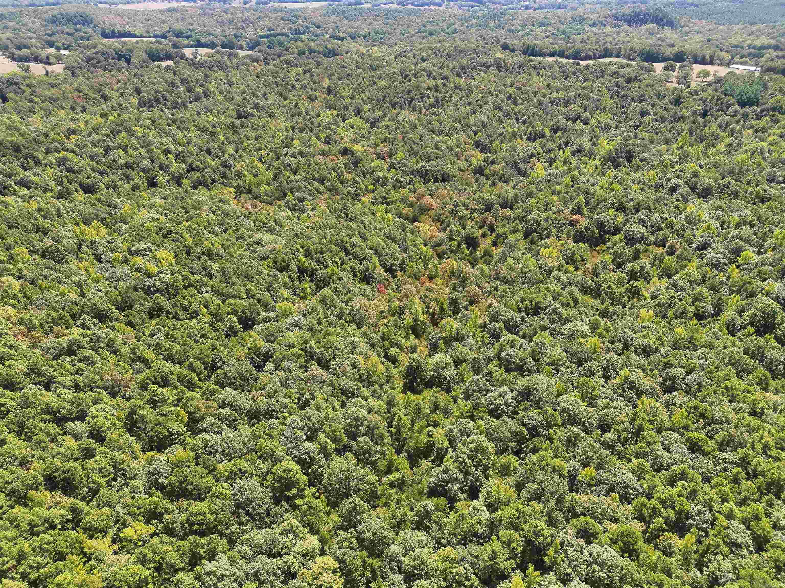 Tbd Pole Thicket Road Lot#wp00 Property Photo 5