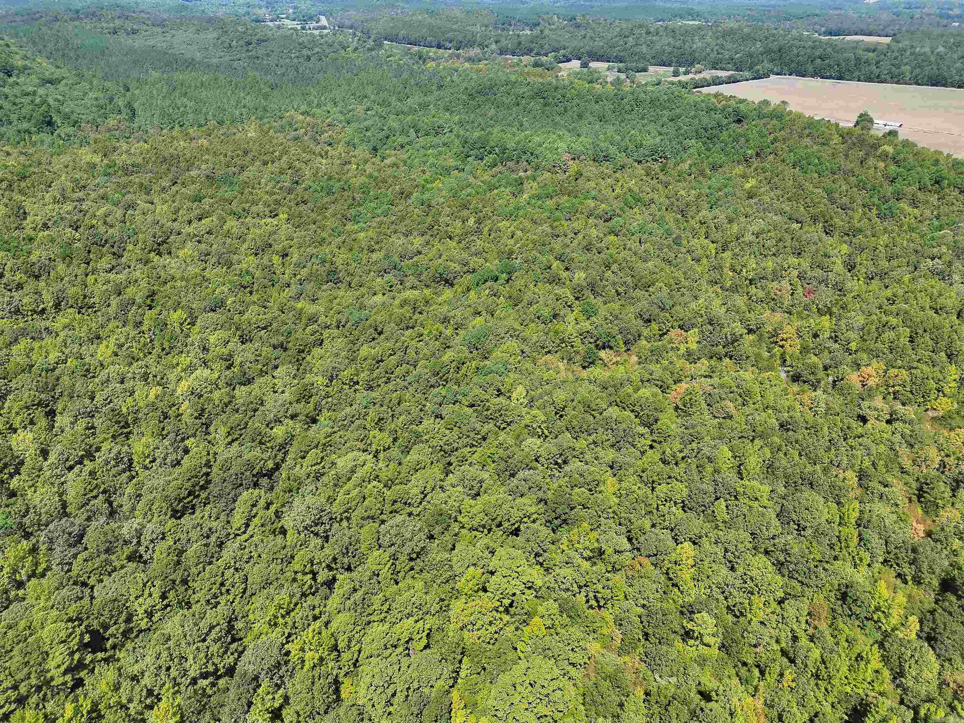Tbd Pole Thicket Road Lot#wp00 Property Photo 6