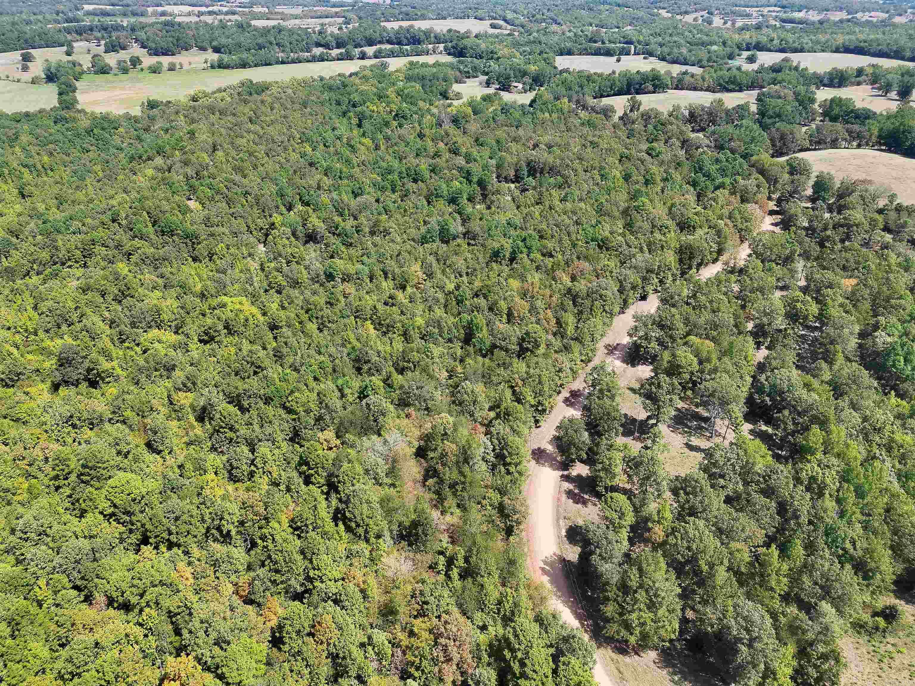 Tbd Pole Thicket Road Lot#wp00 Property Photo 7