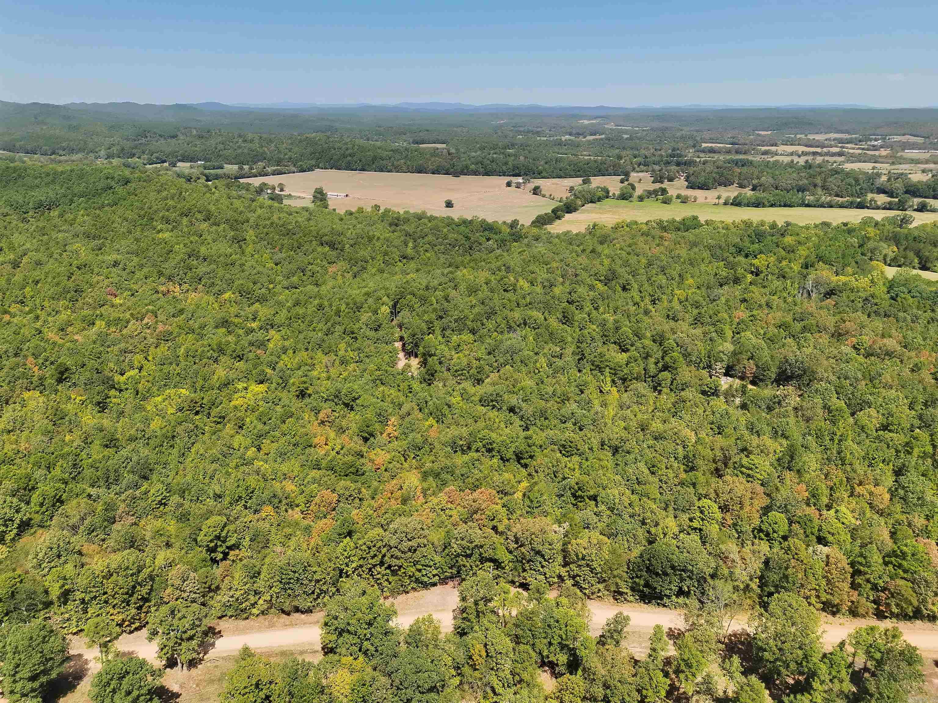 Tbd Pole Thicket Road Lot#wp00 Property Photo 8
