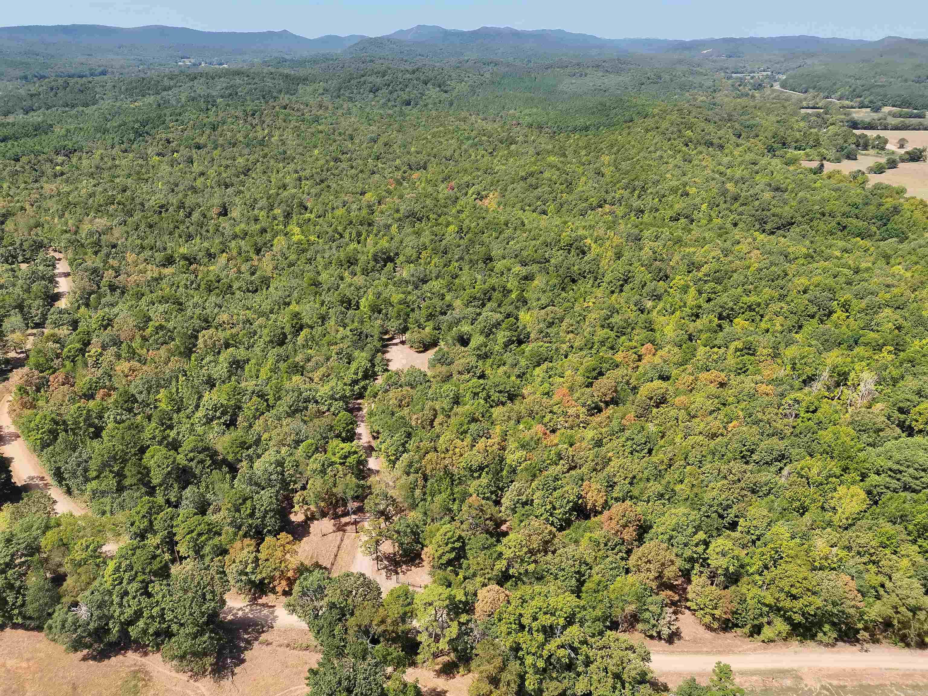 Tbd Pole Thicket Road Lot#wp00 Property Photo 9