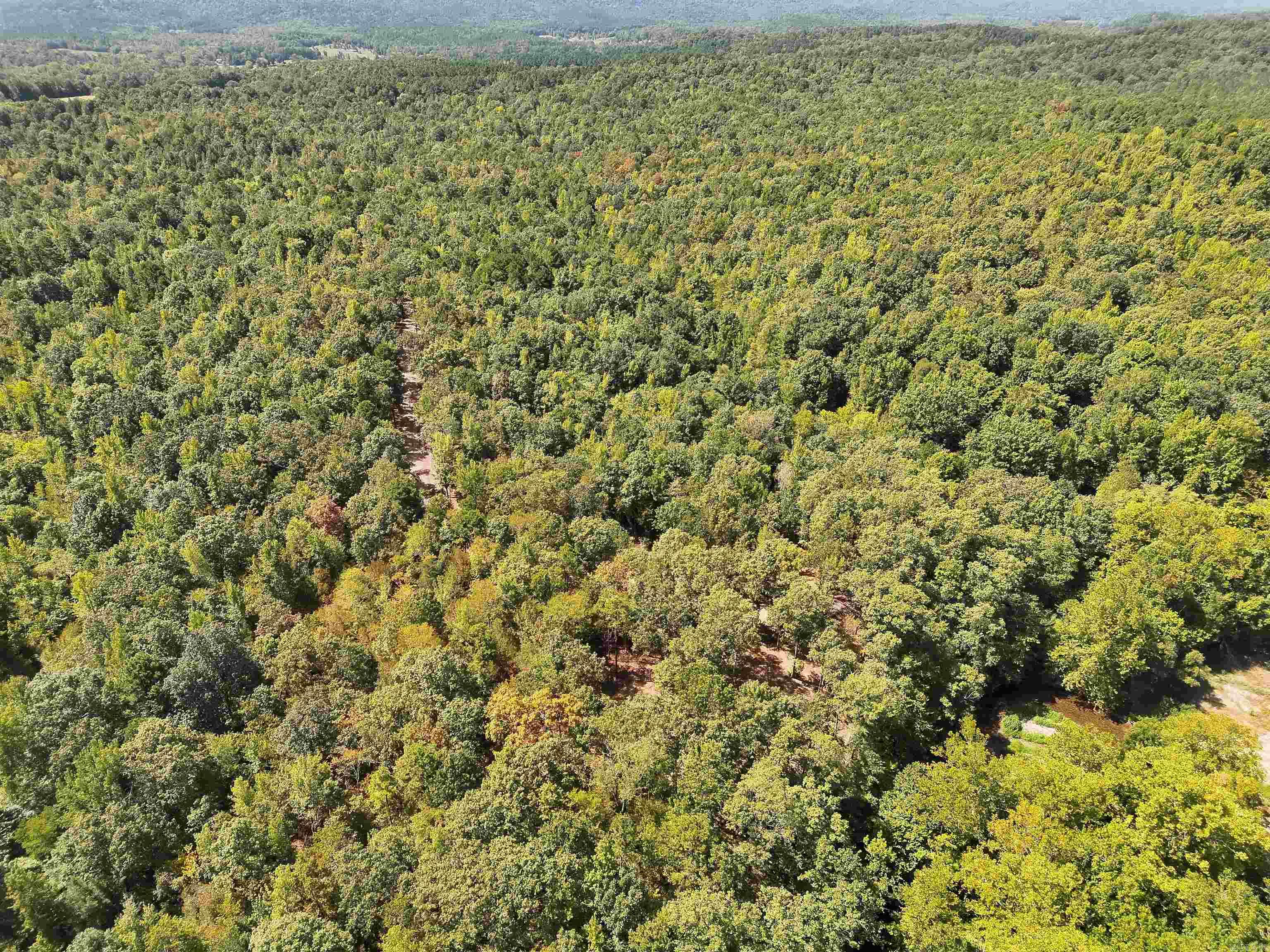 Tbd Pole Thicket Road Lot#wp00 Property Photo 10