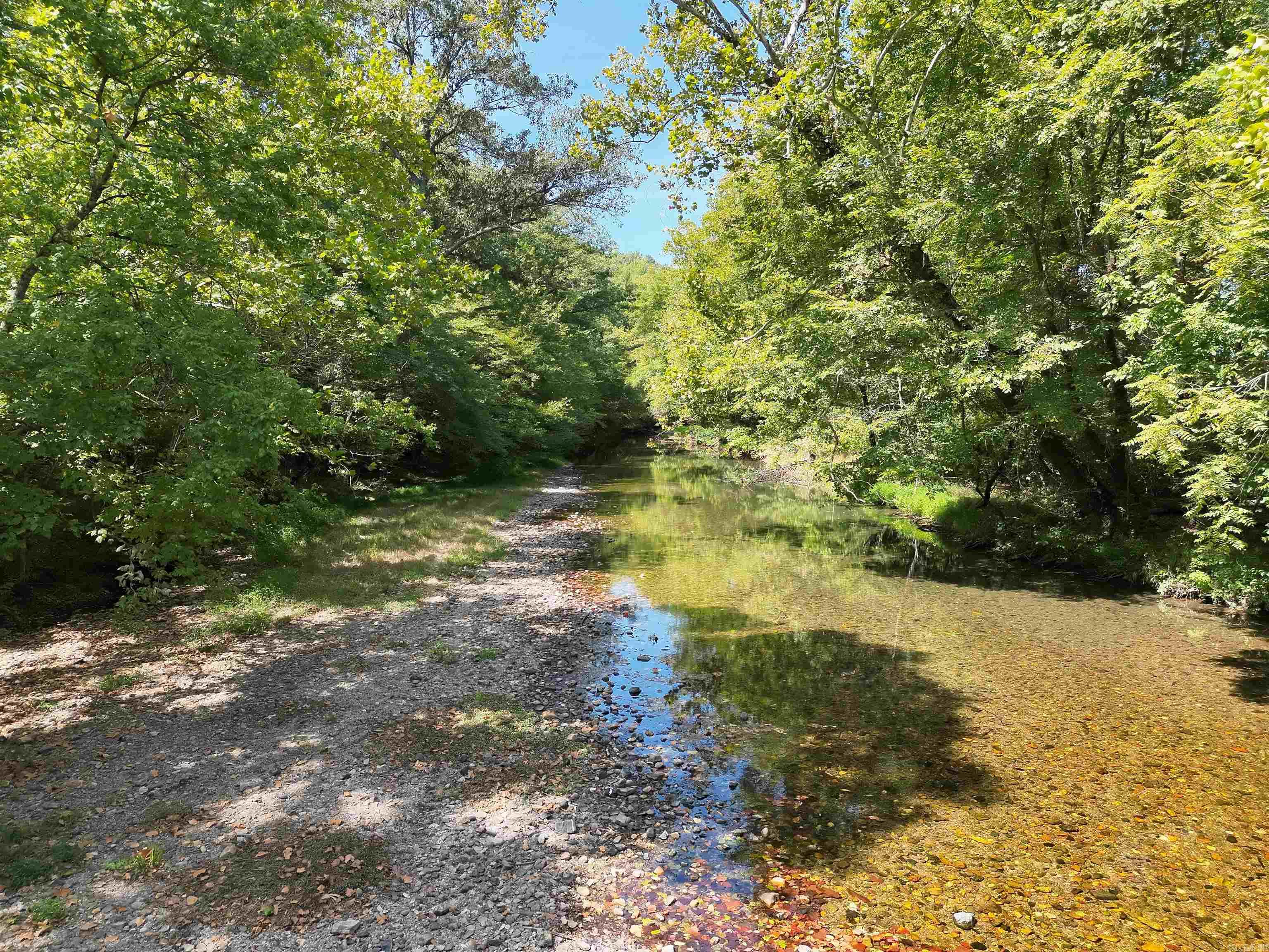 Tbd Pole Thicket Road Lot#wp00 Property Photo 14