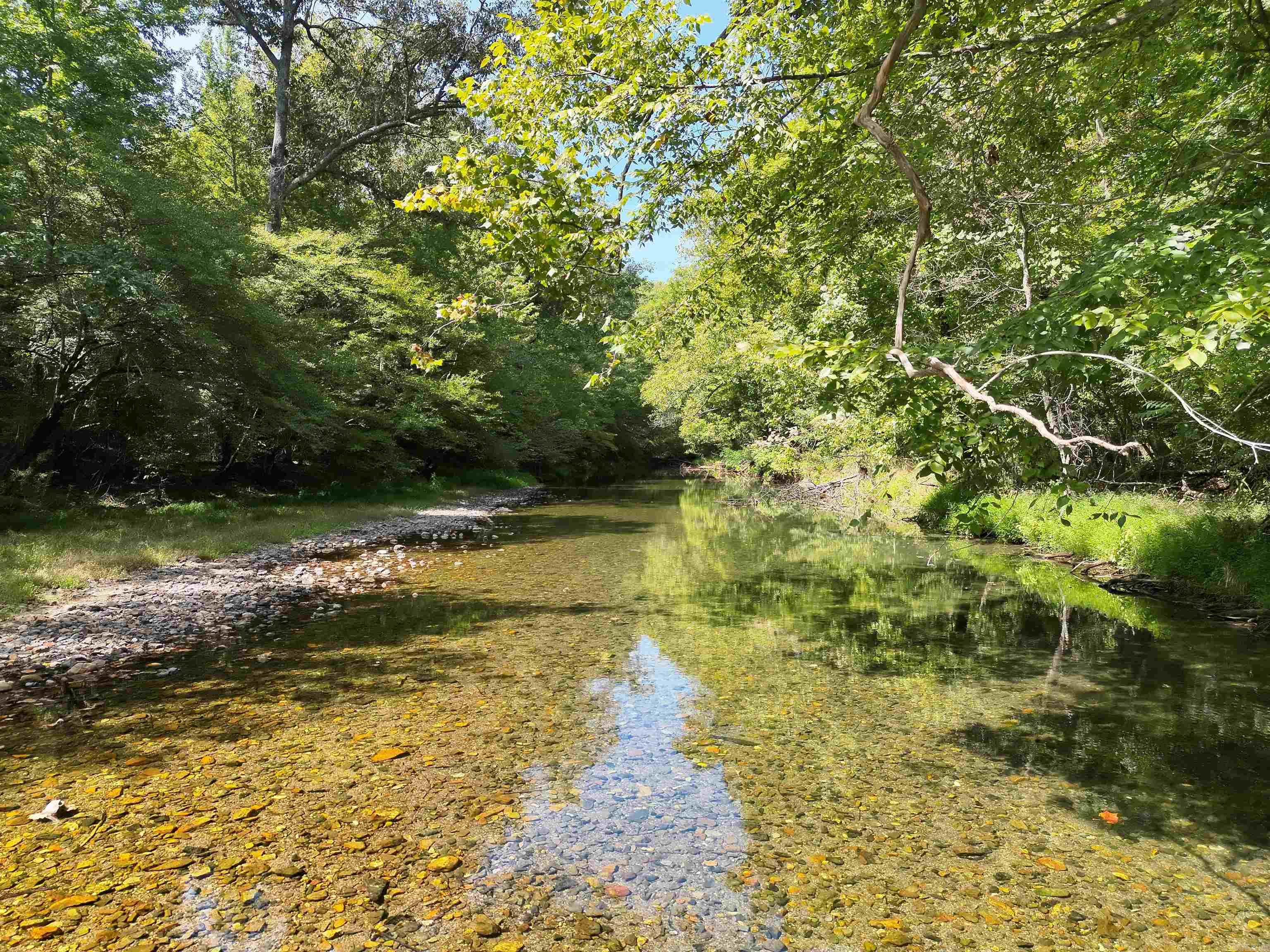 Tbd Pole Thicket Road Lot#wp00 Property Photo 15