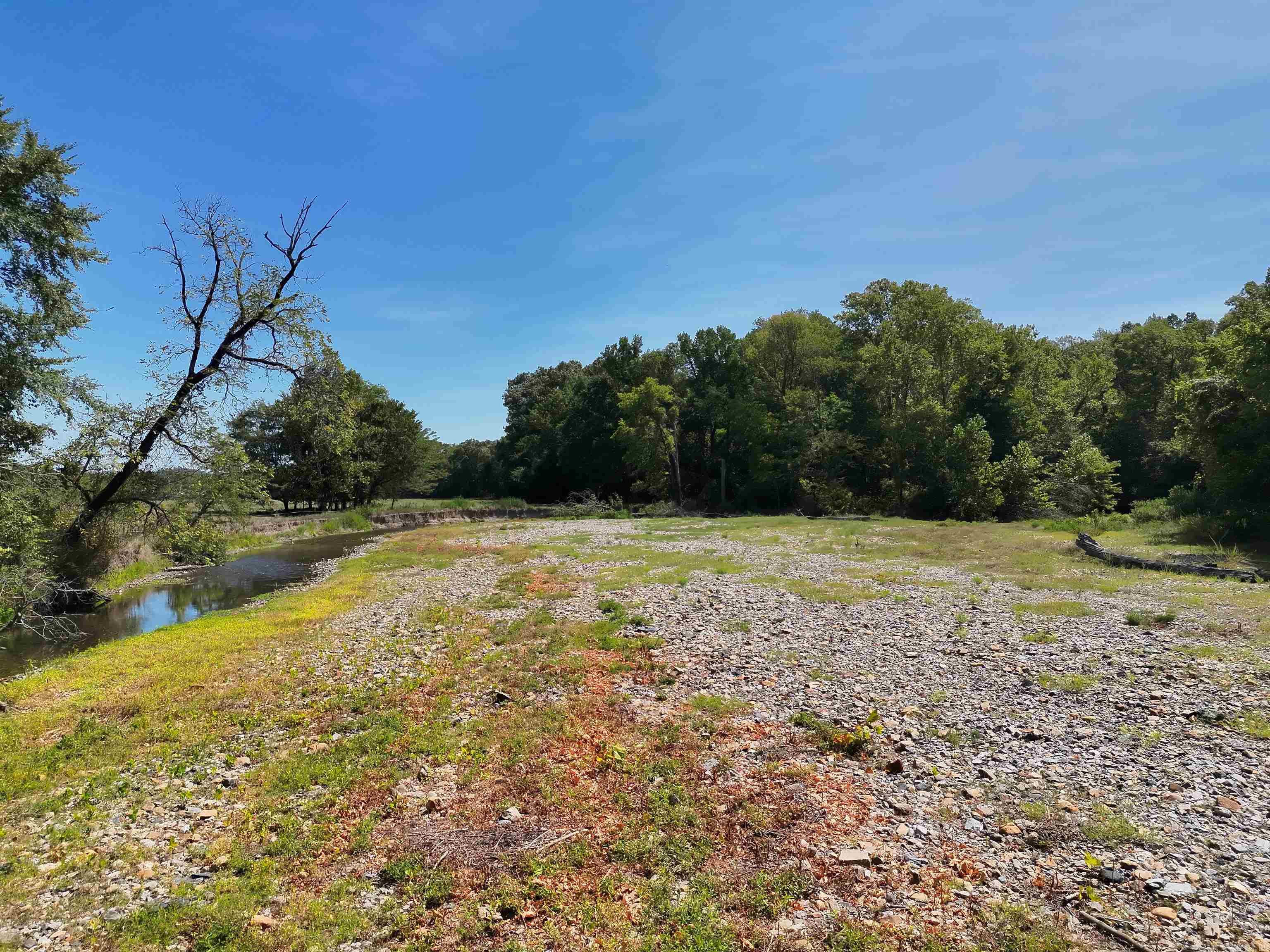 Tbd Pole Thicket Road Lot#wp00 Property Photo 17
