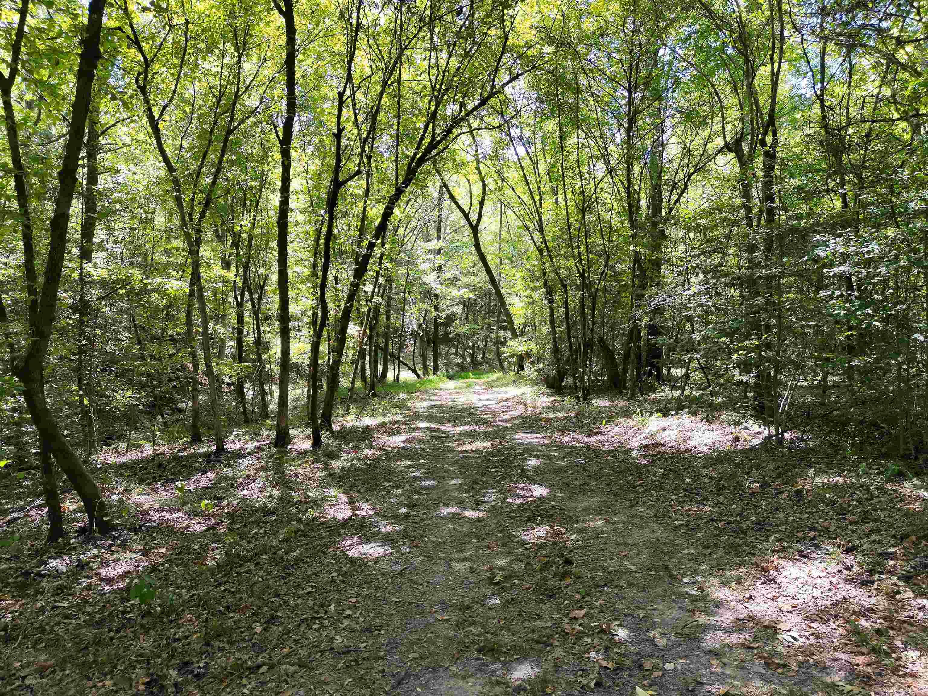 Tbd Pole Thicket Road Lot#wp00 Property Photo 18