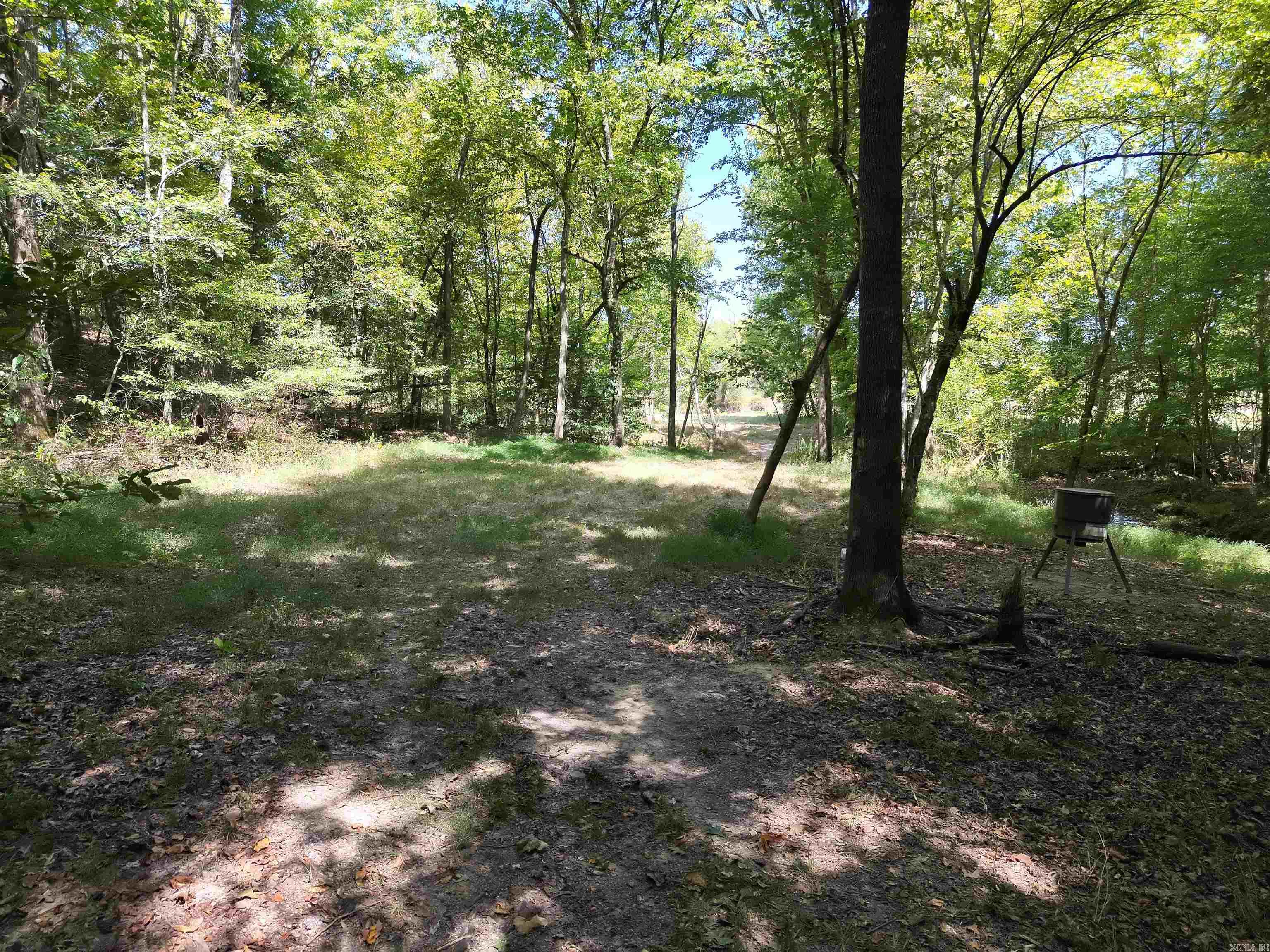 Tbd Pole Thicket Road Lot#wp00 Property Photo 19