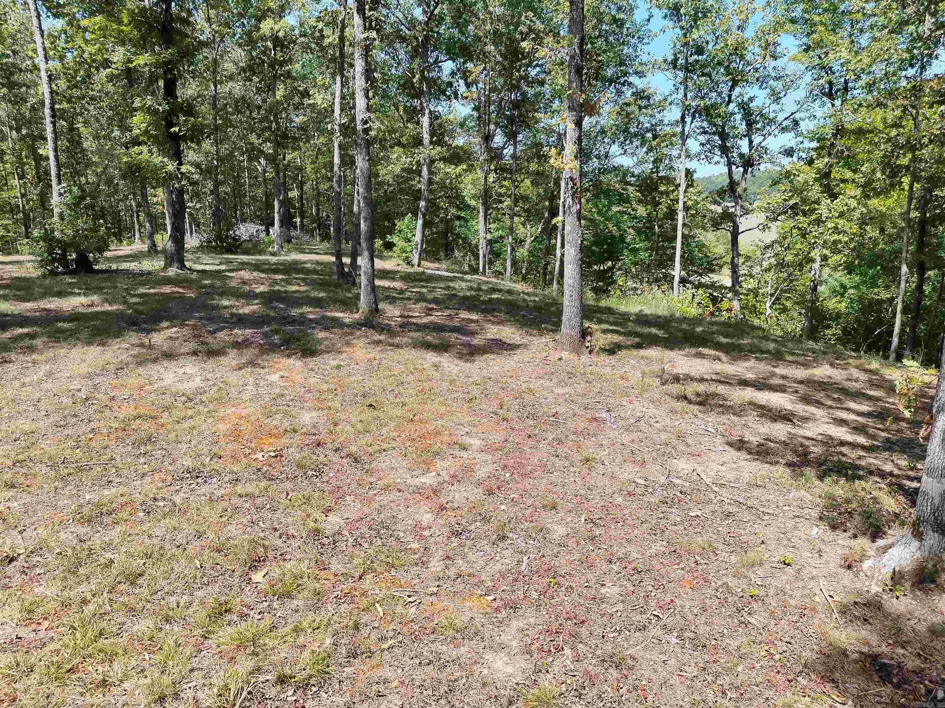 Tbd Pole Thicket Road Lot#wp00 Property Photo 20
